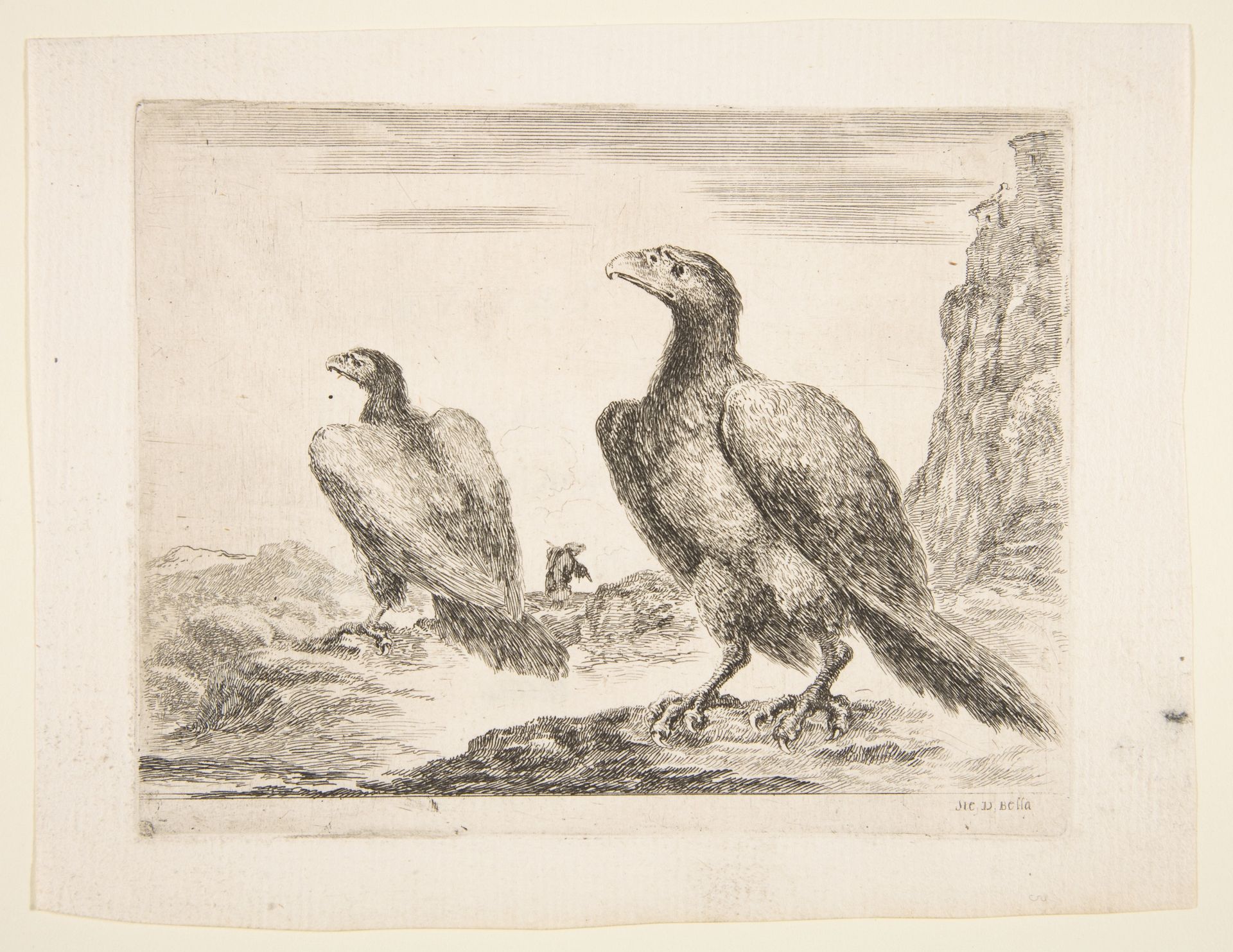 Two eagles, from 'Eagles'  (Les aigles) by Stefano della Bella