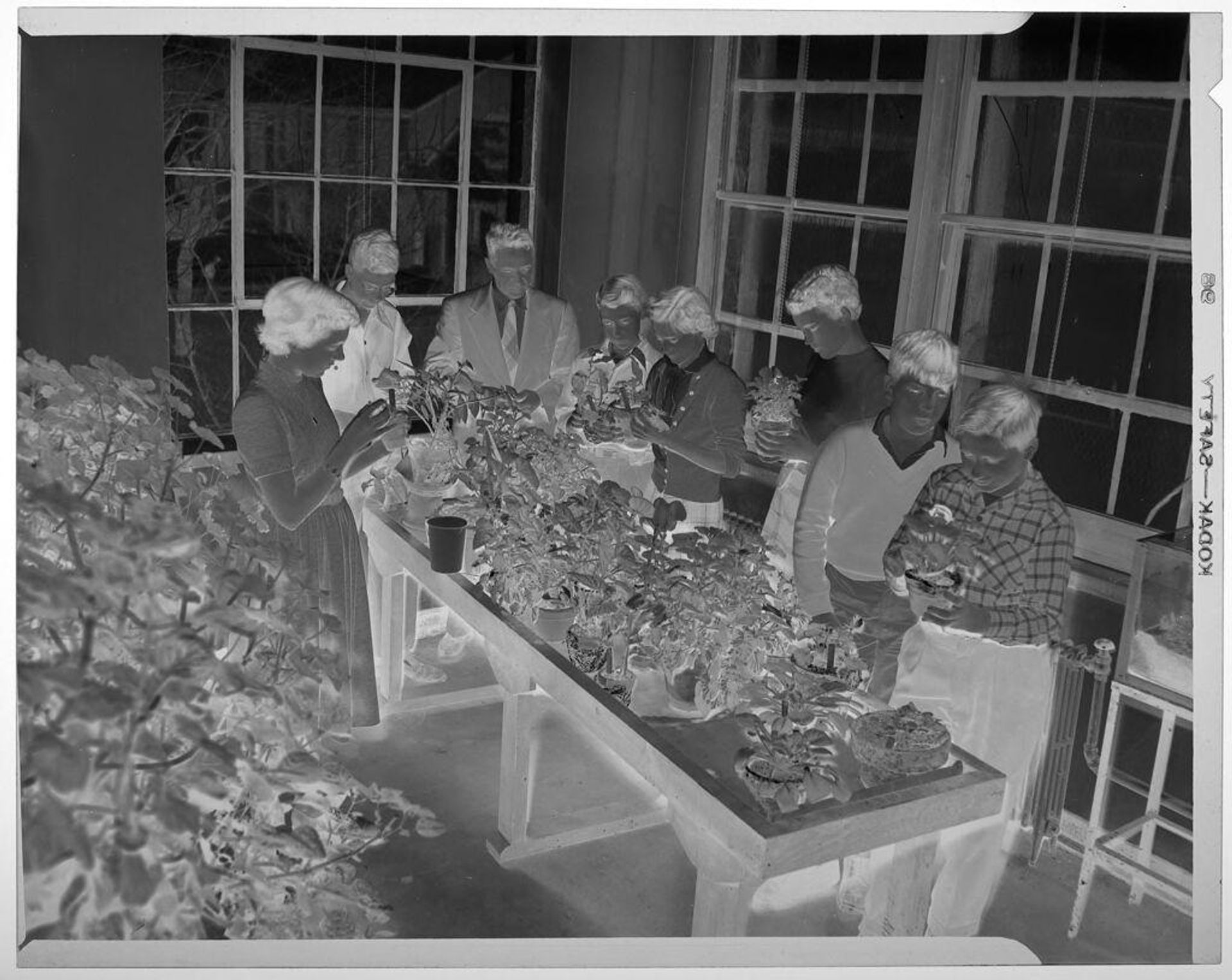 Untitled (students examining plants with teacher inside greenhouse classroom) by Martin Schweig