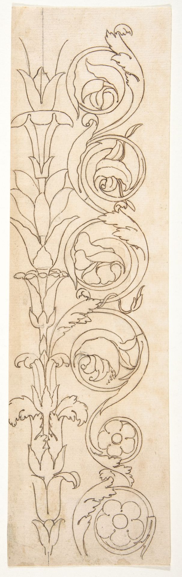 Ornamental drawings (recto) blank (verso) by Anonymous