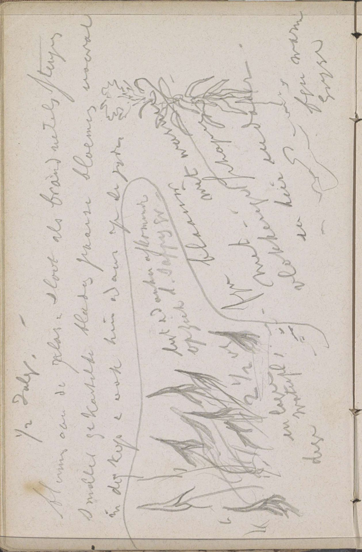 Planten by Johannes Tavenraat