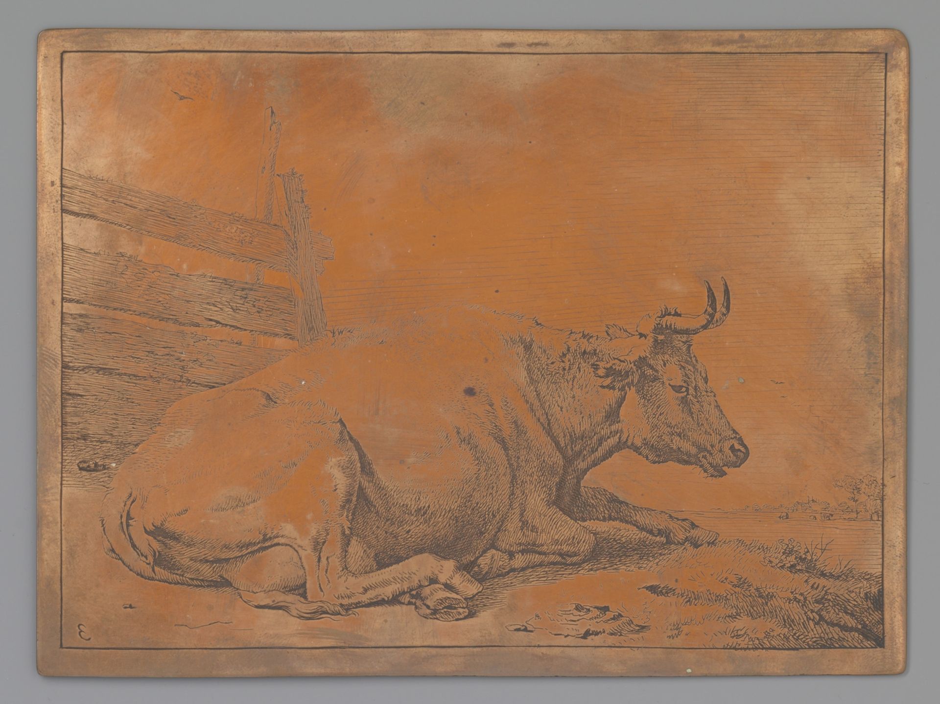 Liggende koe bij een hek by Paulus Potter