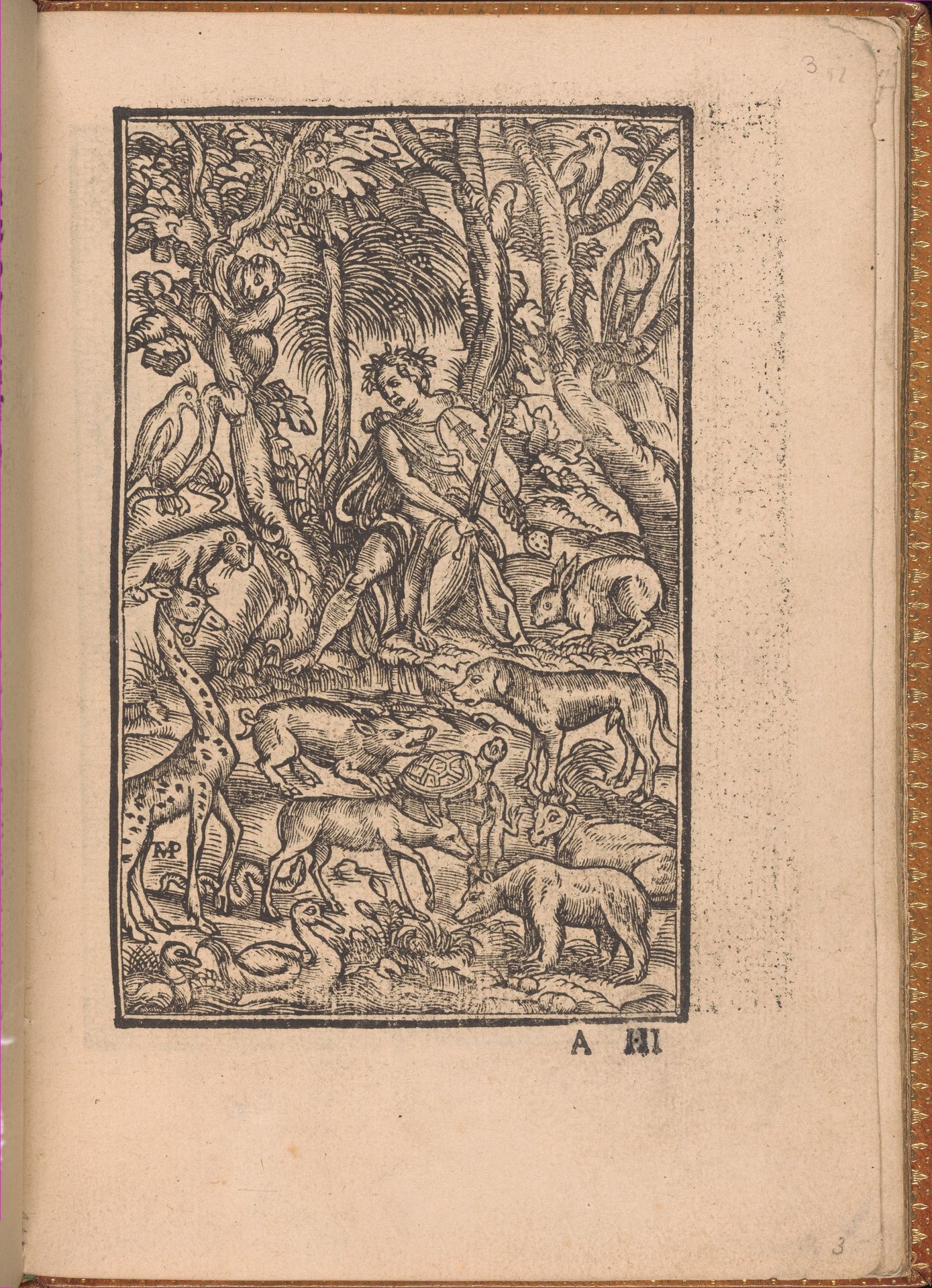 Convivio delle Belle Donne by Nicolò Zoppino