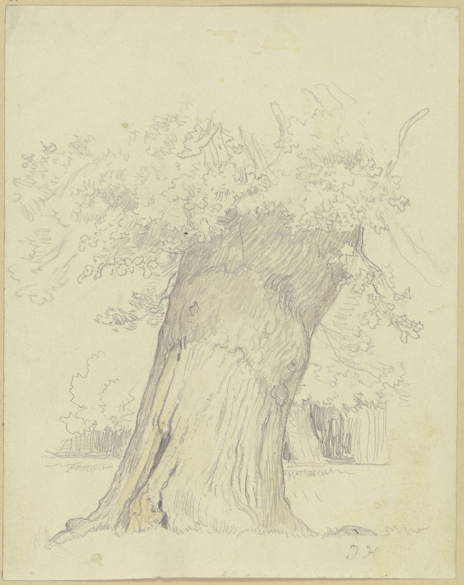 Tree by Julius Hamel