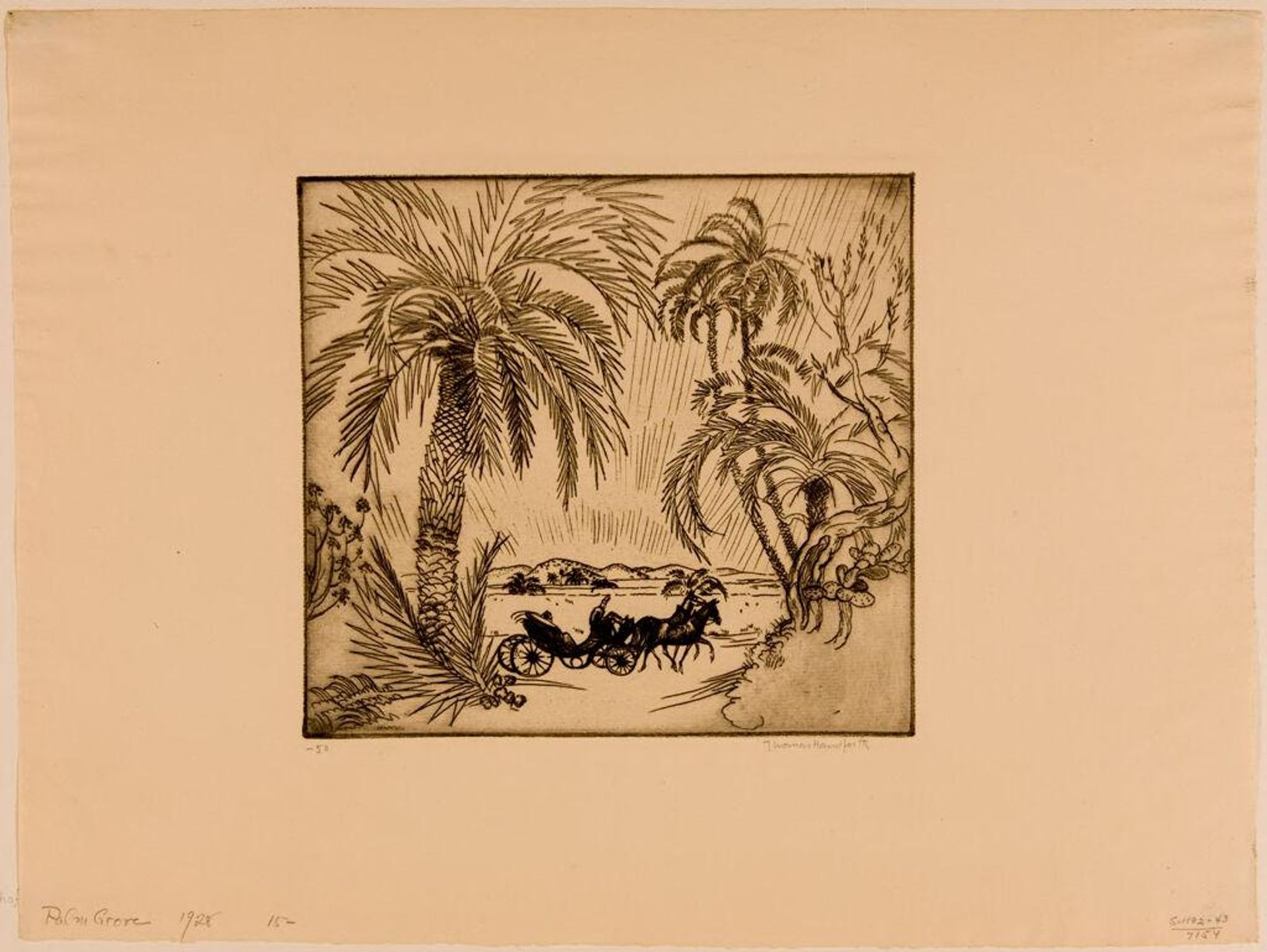 Palm Grove by Thomas Schofield Handforth