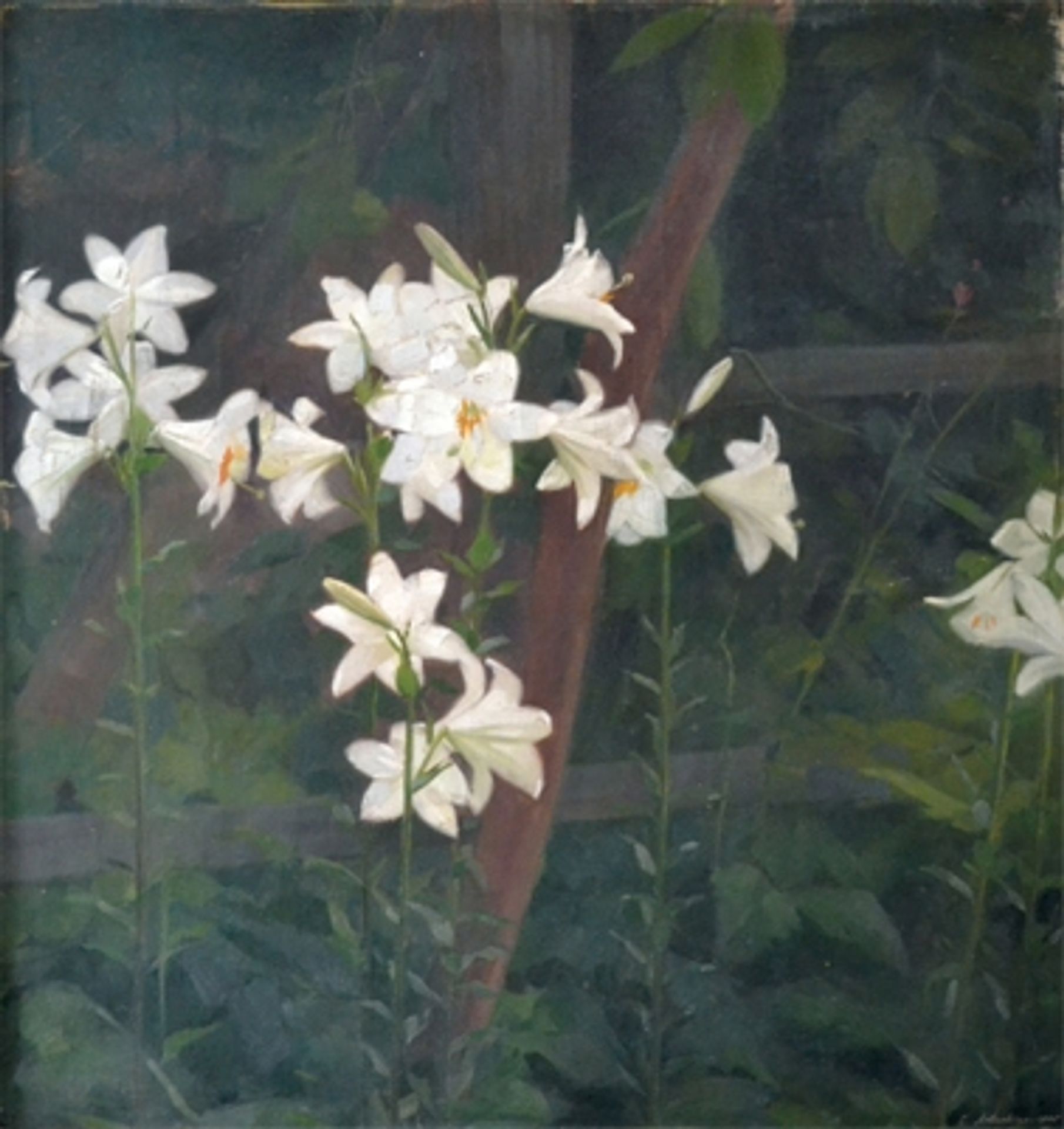 Lilies by Constantin Artachino