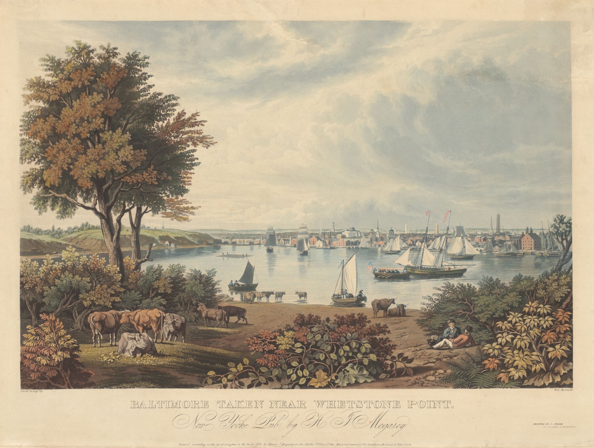 Baltimore Taken near Whetstone Point by William James Bennett