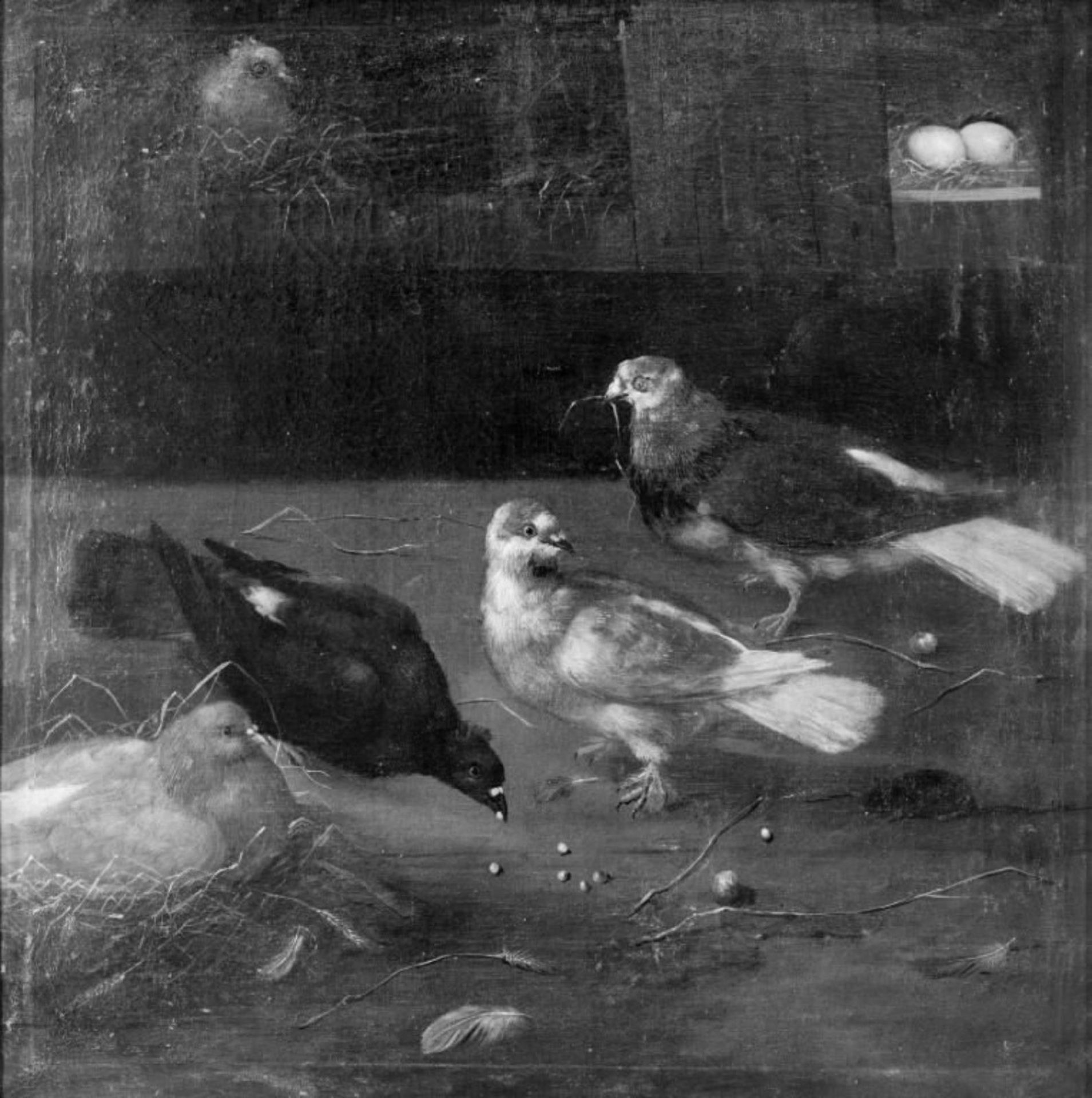Pigeons by Anonymous