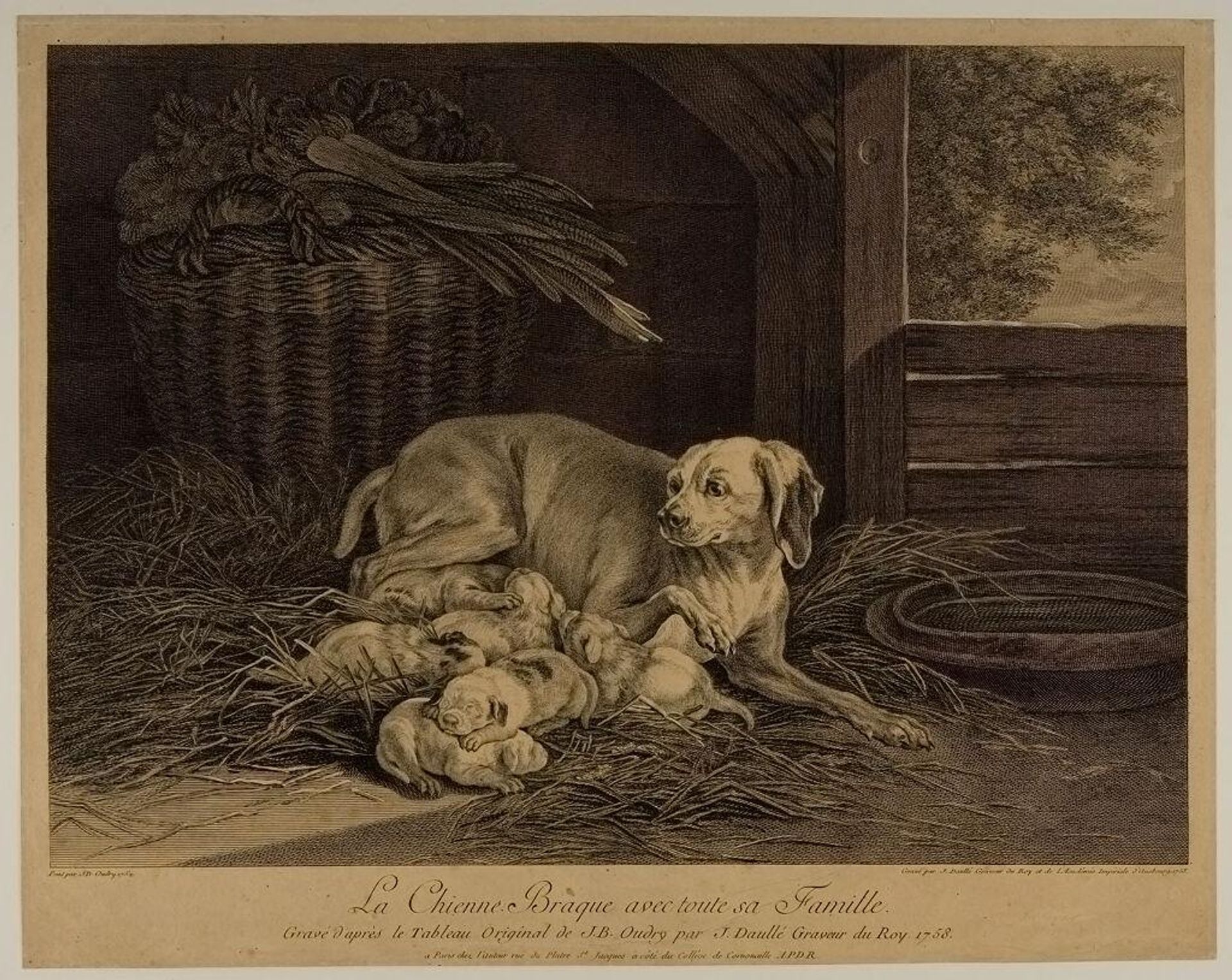 The Dog Braque with all her Family by Jean Daullé