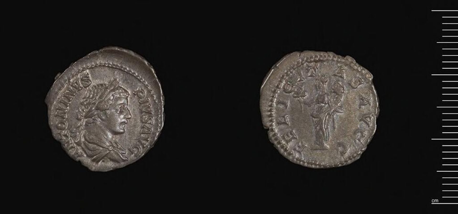 AR Caracalla by Caracalla
