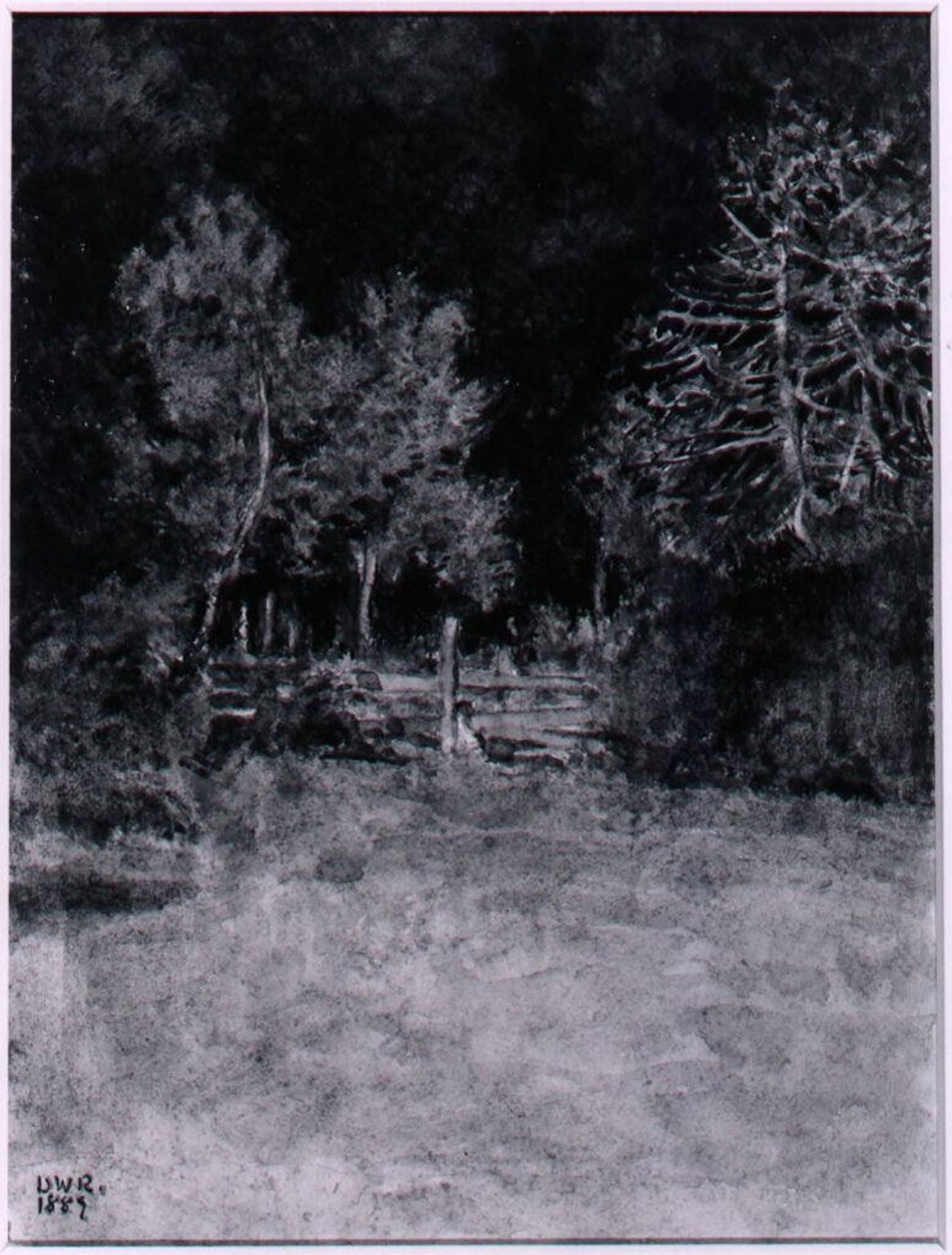 Wooded Grove by Denman Waldo Ross