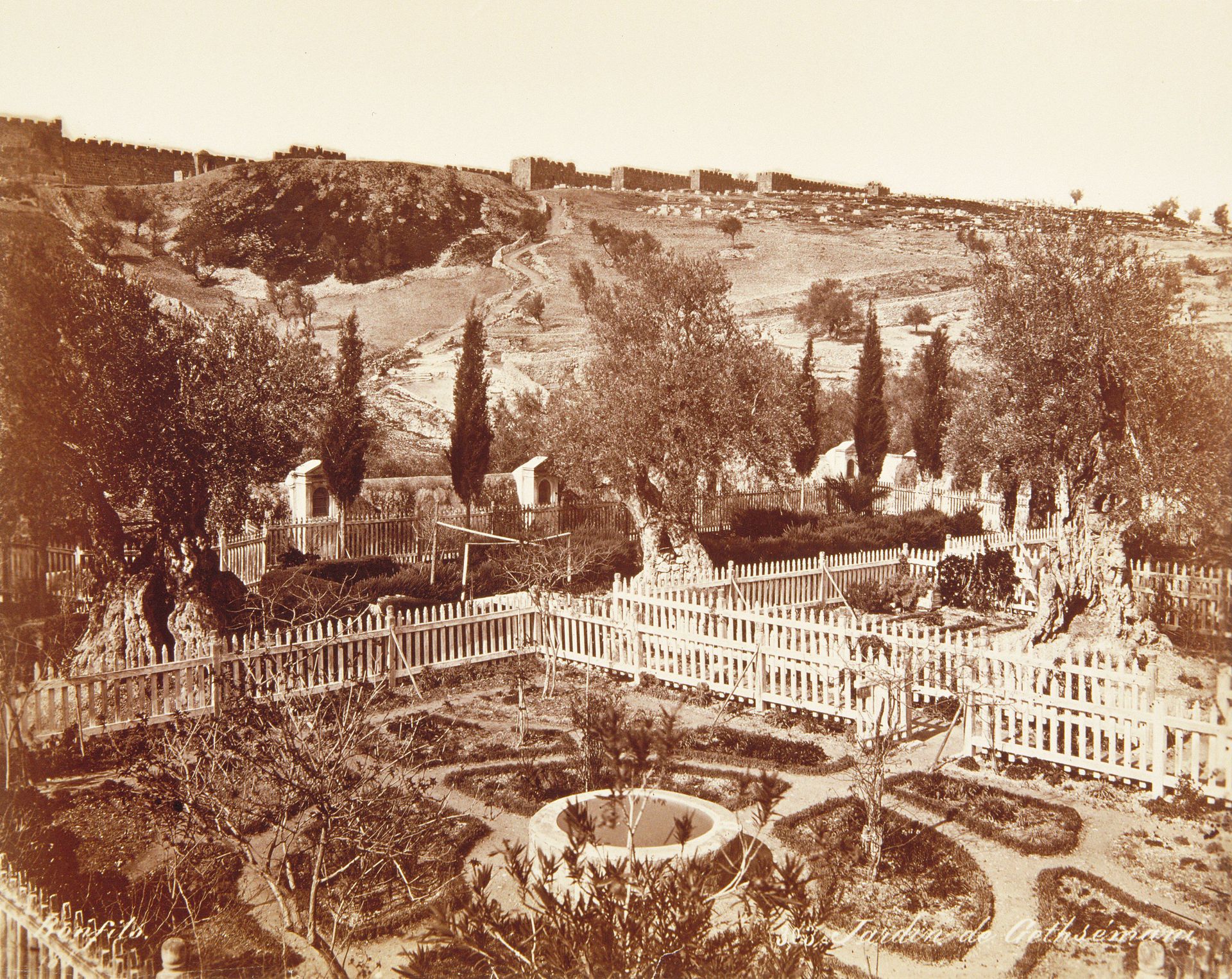 Jardin de Gethsemani by Félix Bonfils