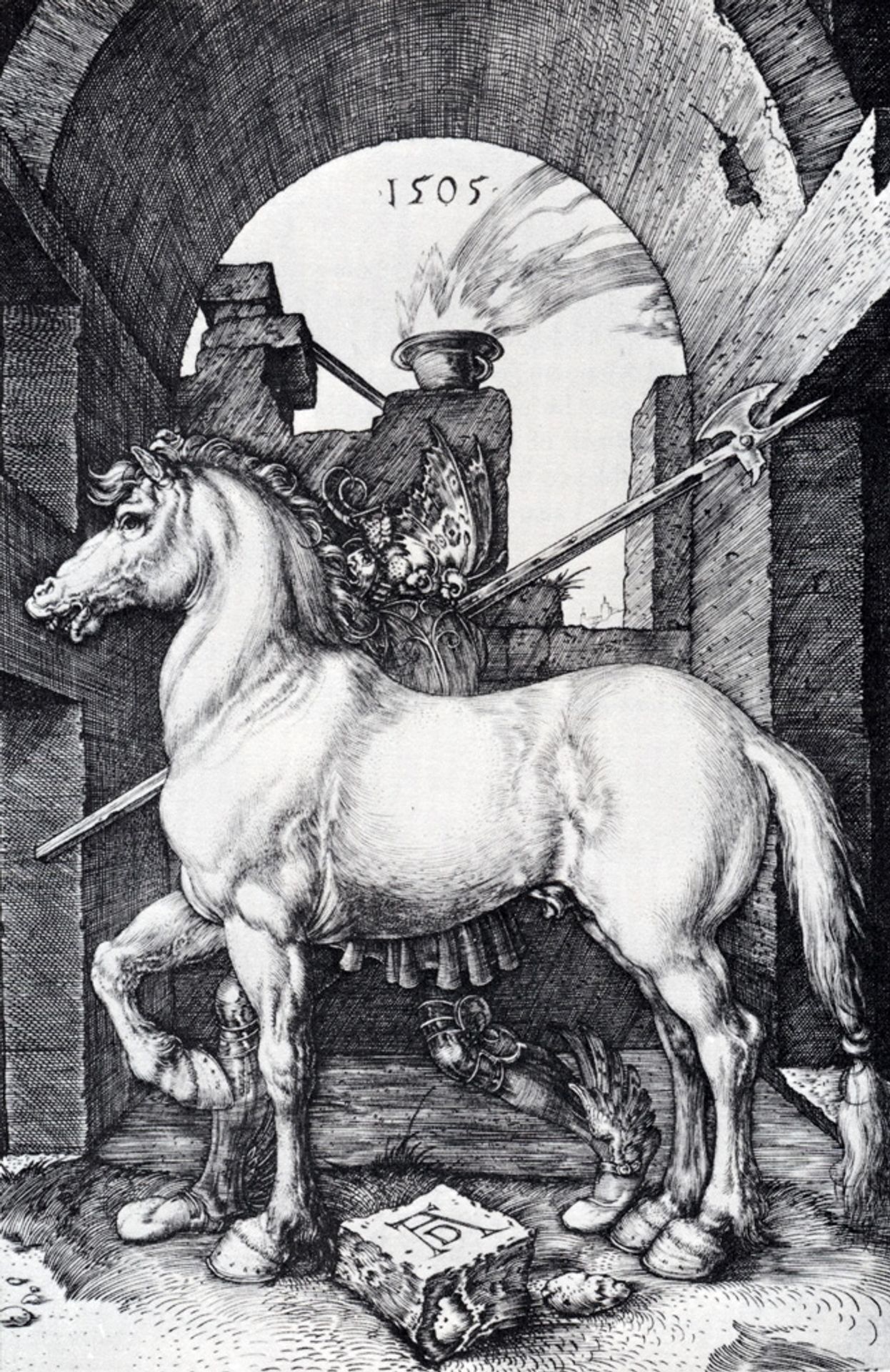 The Small Horse by Albrecht Durer