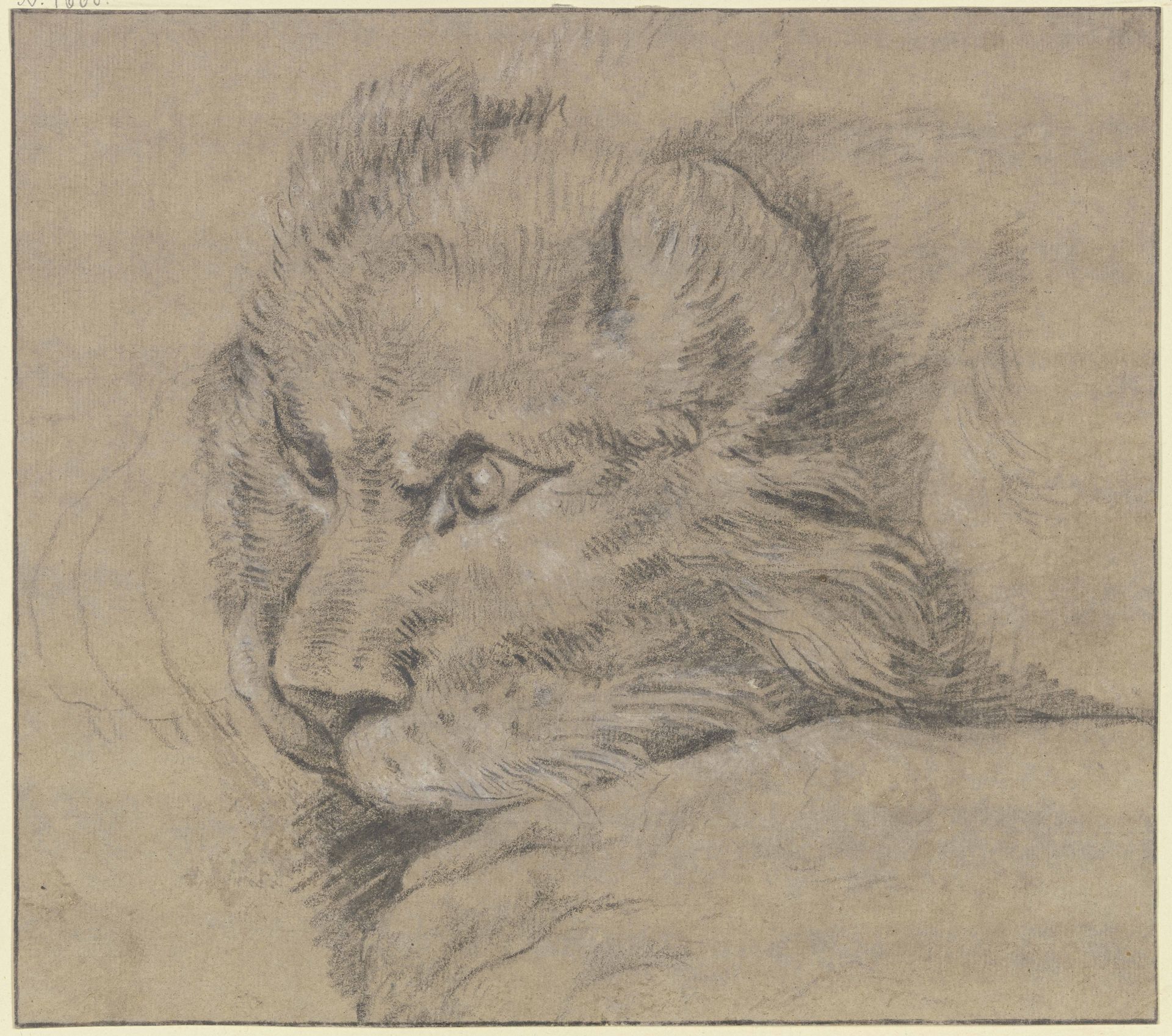 Lion's head by Johann Elias Ridinger