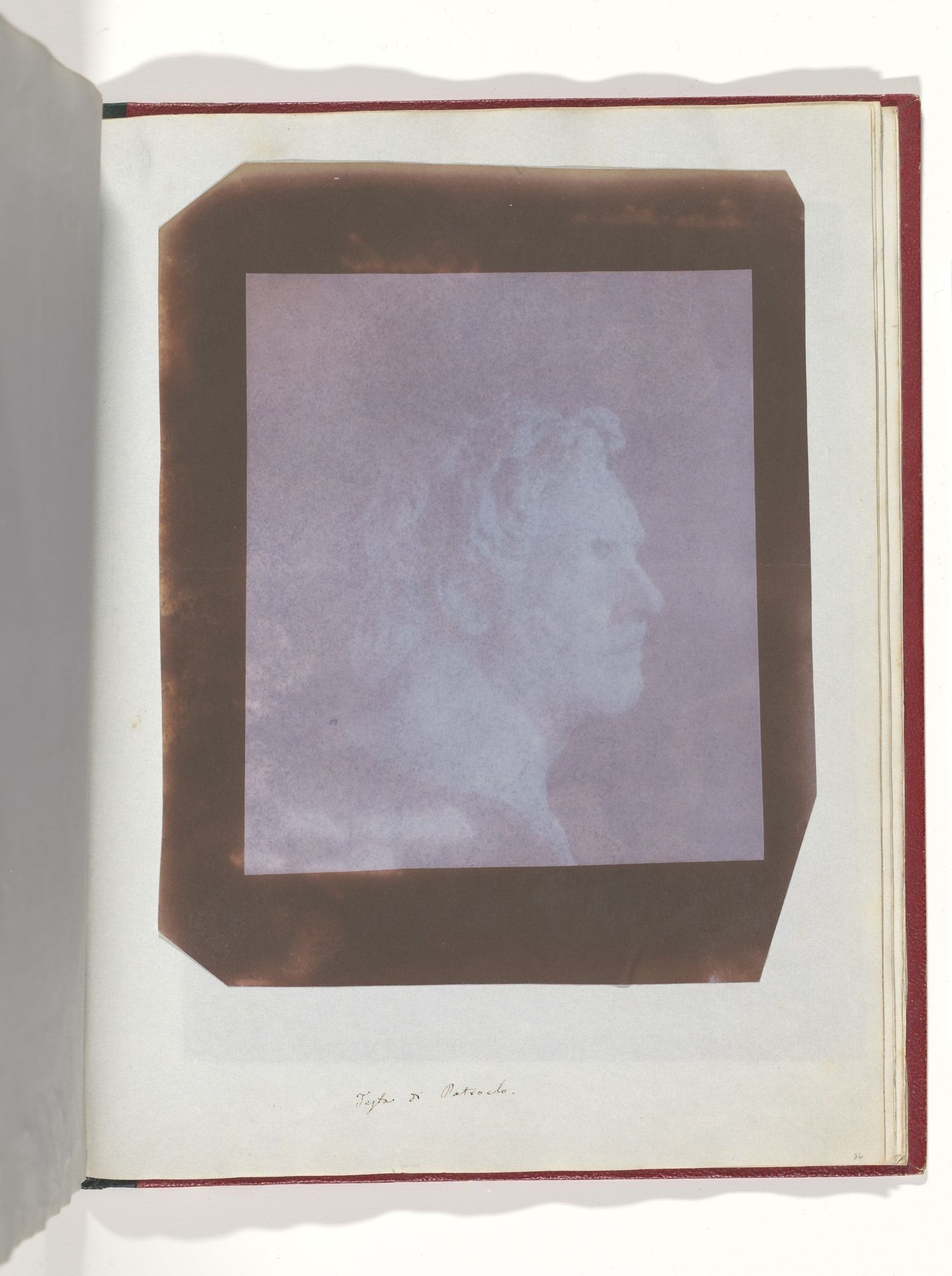 Patroclus by William Henry Fox Talbot