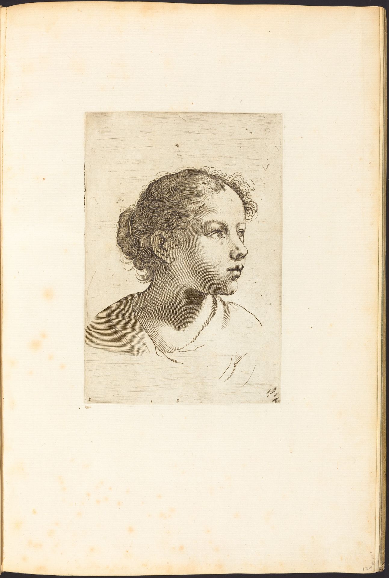 Print from Drawing Book by Luca Ciamberlano