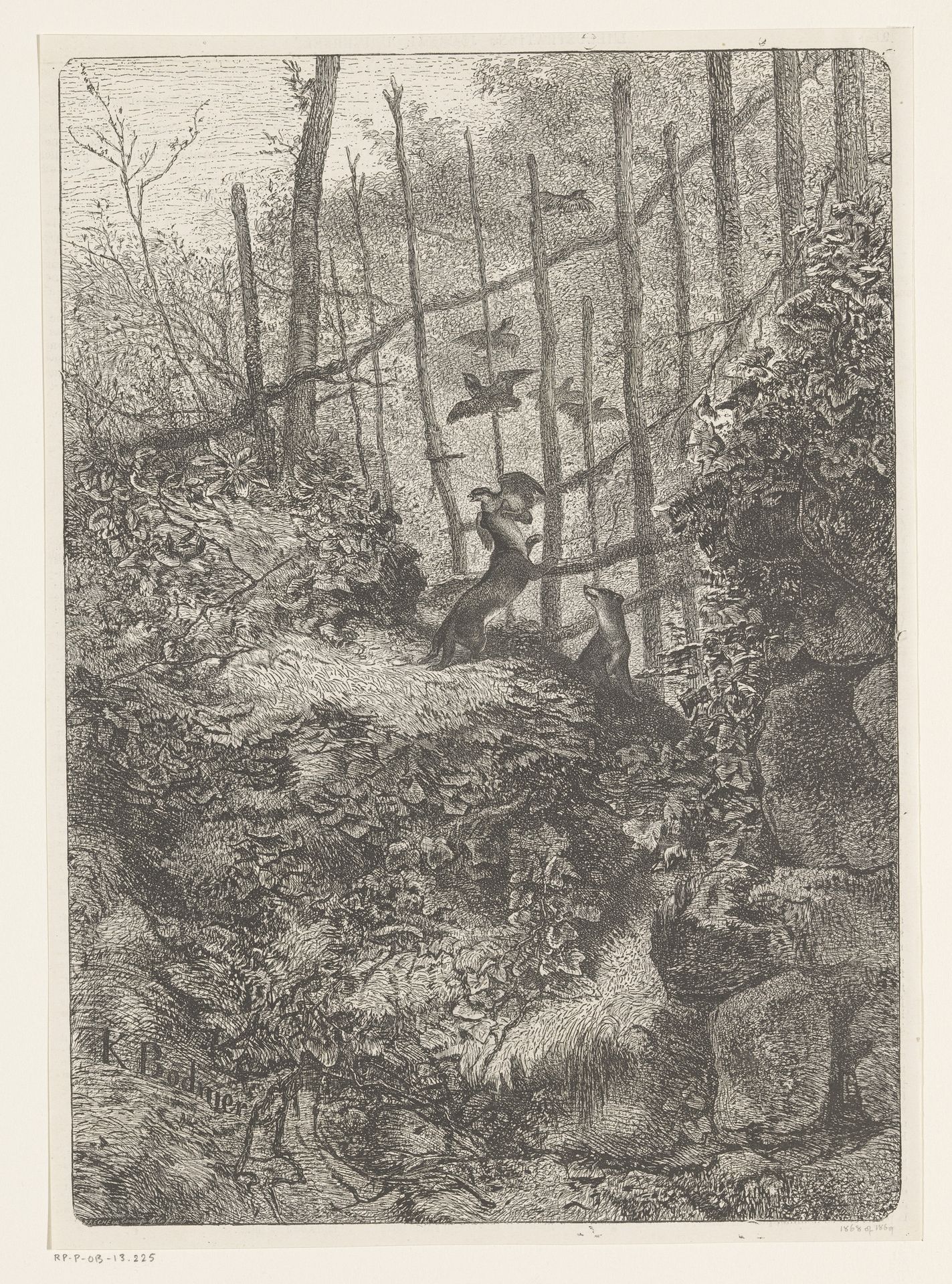 Fretten vangen vogels in een bos by Karl Bodmer