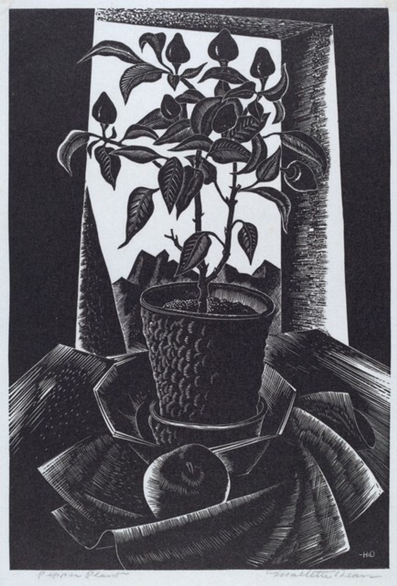 Pepper Plant by Harold Mallette Dean