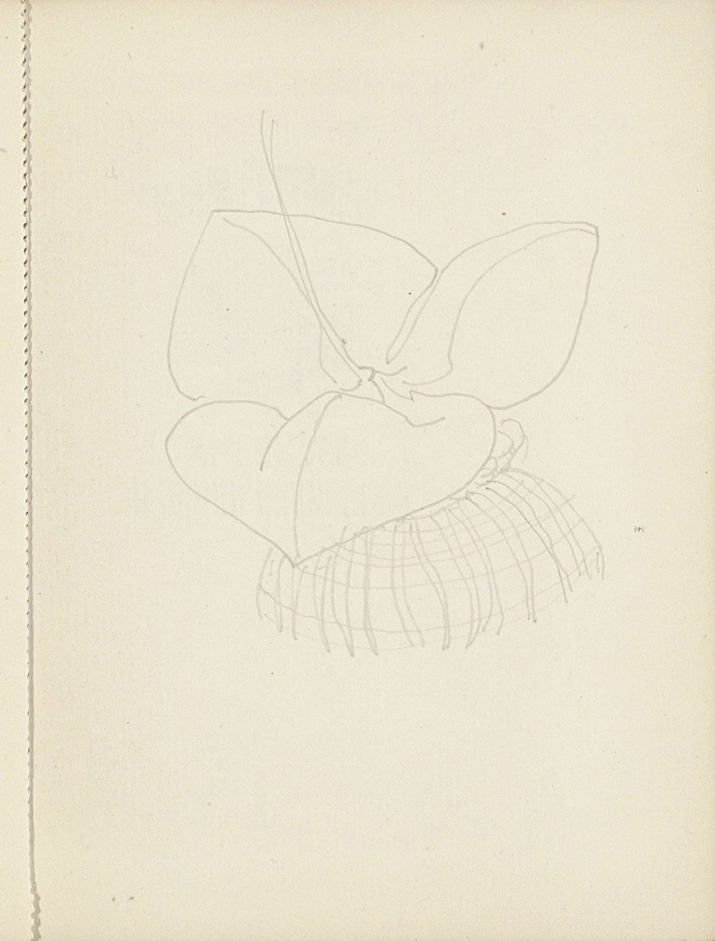 Bloem by Reijer Stolk