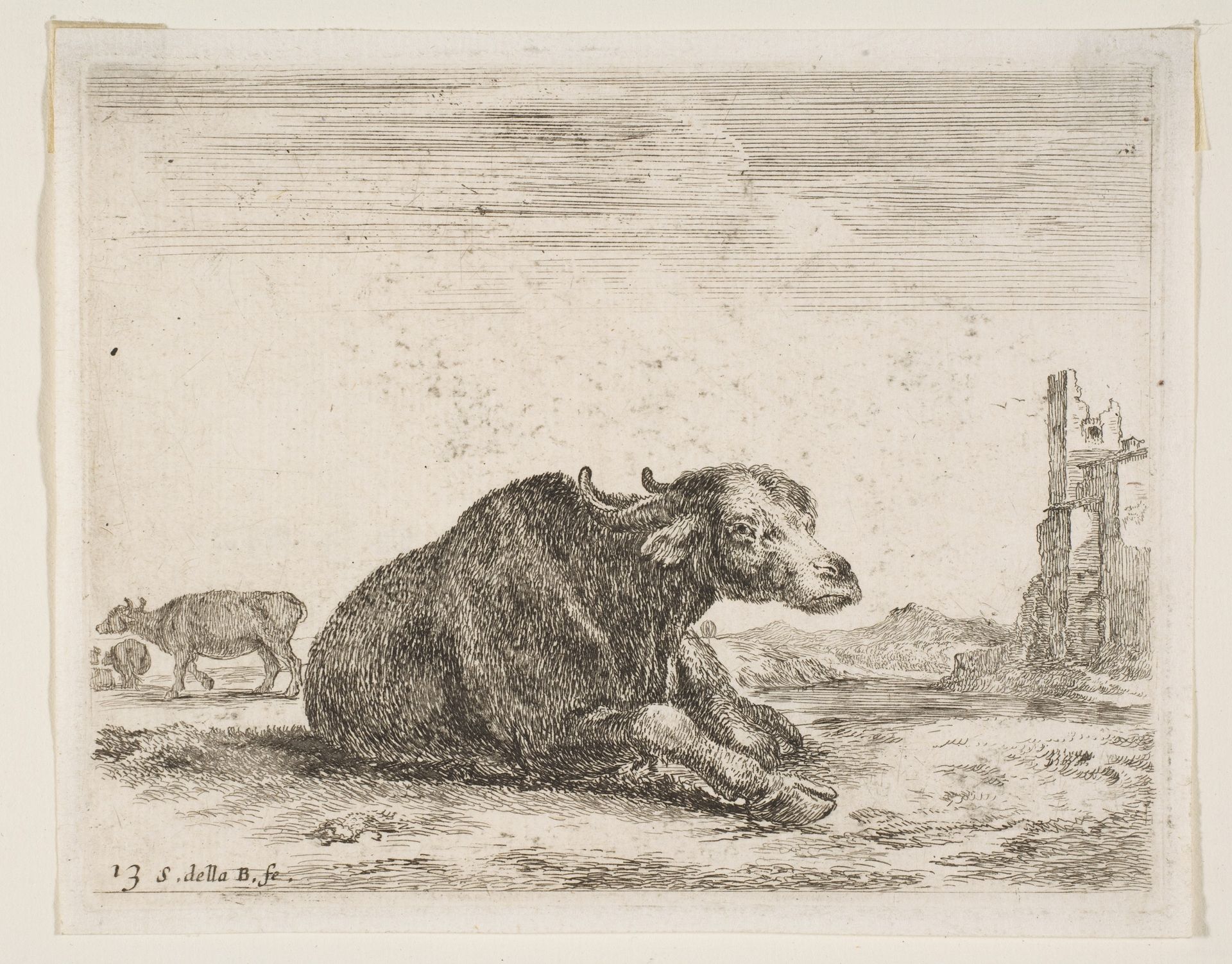 Plate 13: buffalo lying down, from 'Various animals' (Diversi animali) by Stefano della Bella