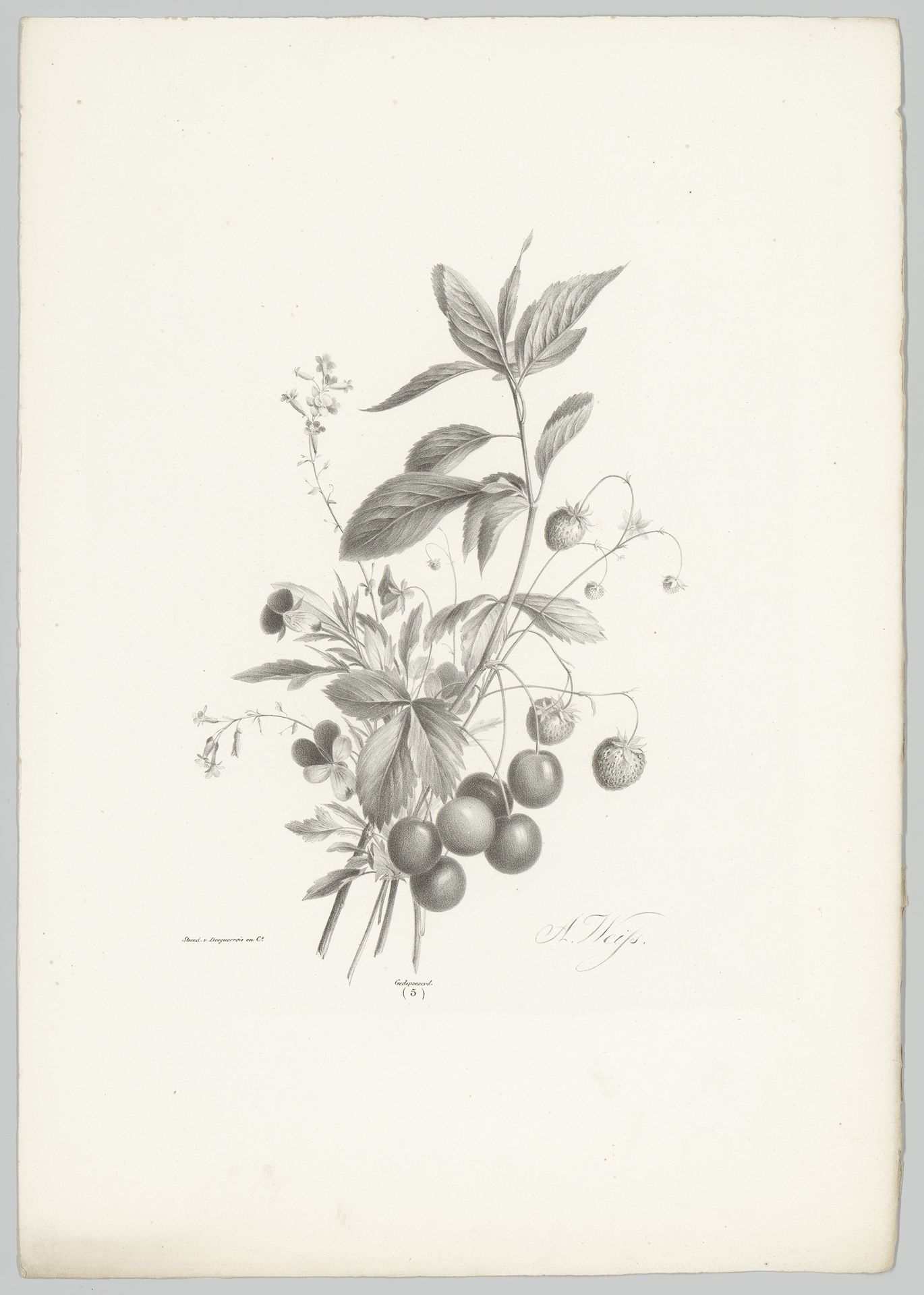 Bloemen, aardbeien en kersen by Anton Weiss