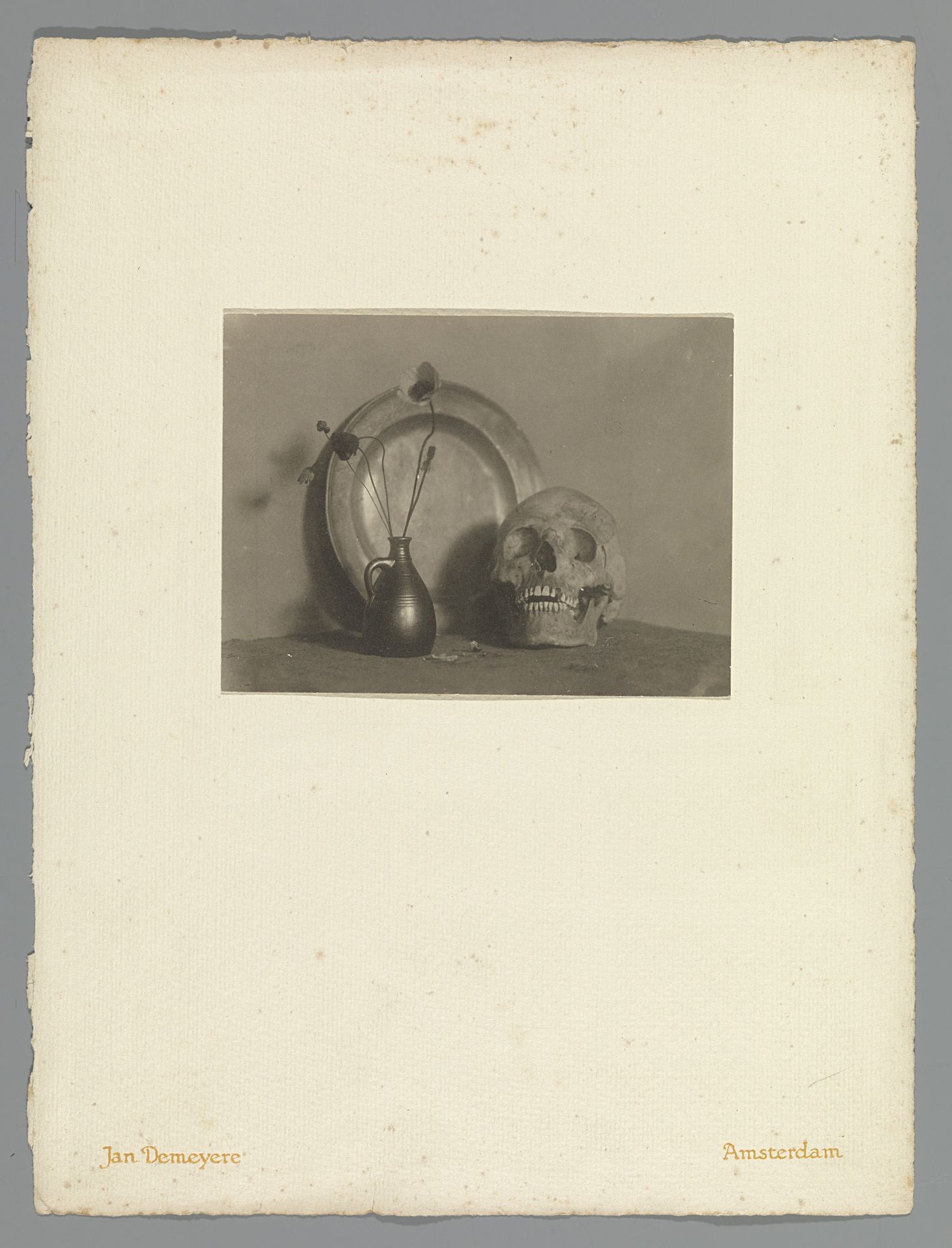 Stilleven met schedel, bord en vaas bloemen by Jan Demeyere