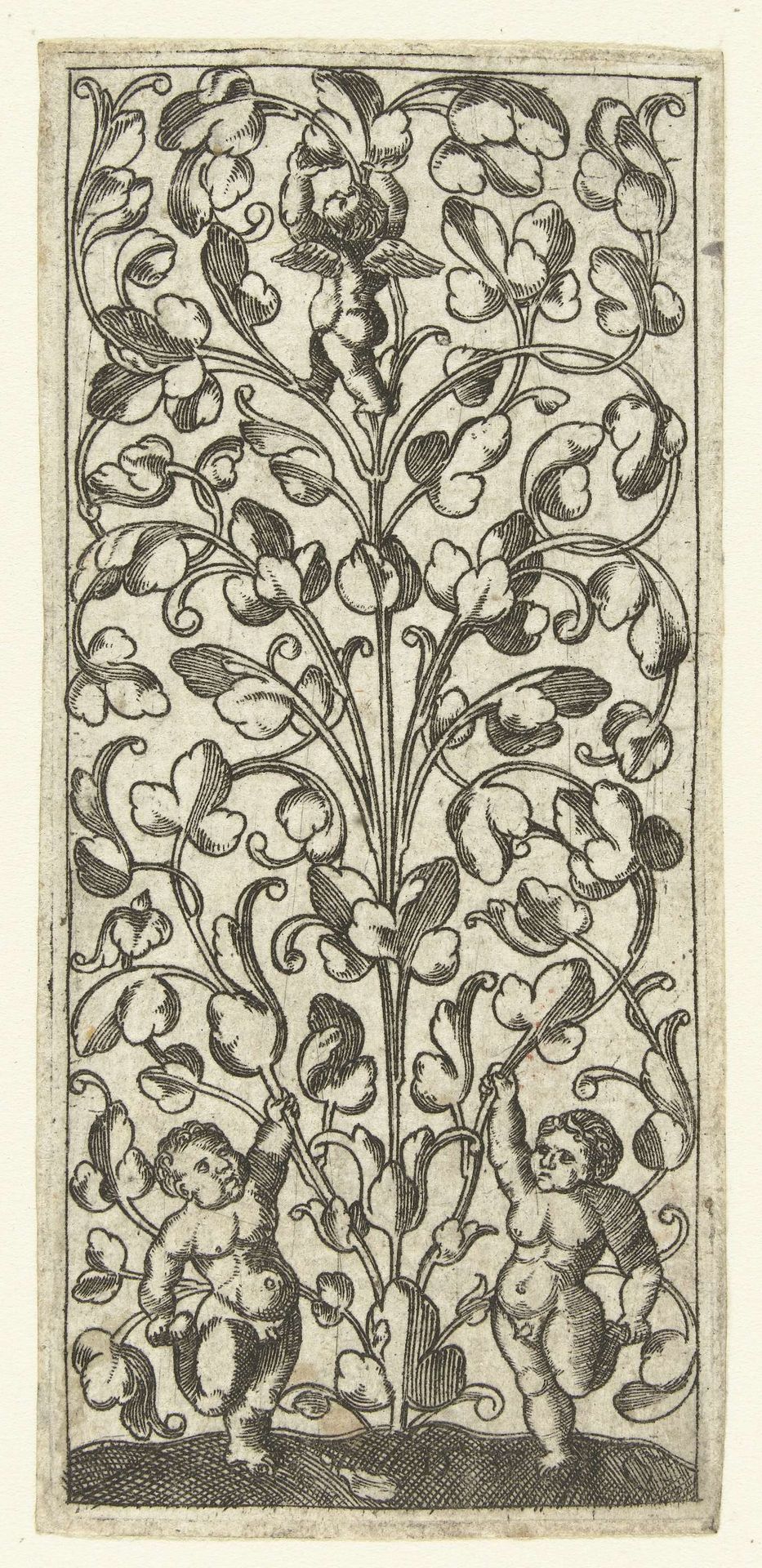 Bladranken met onderaan twee jongens by Anonymous