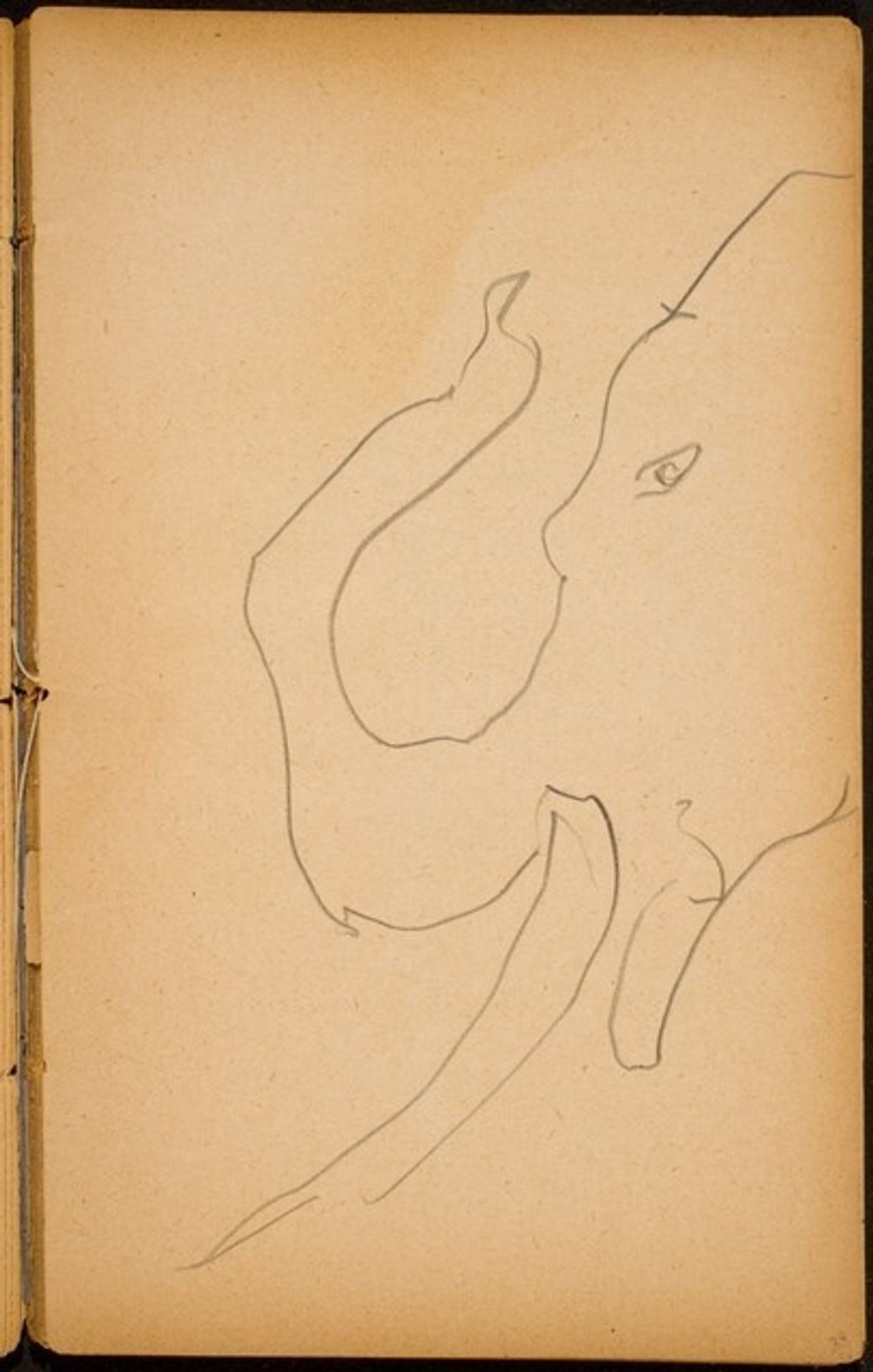 Elefantenkopf (Elephant Head) [p. 33] by Max Beckmann