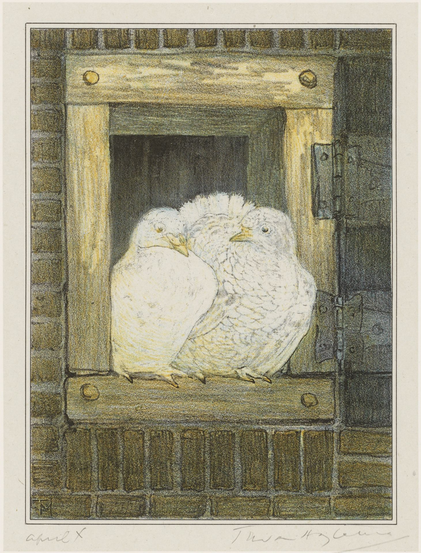 Witte duiven in venster by Theo van Hoytema