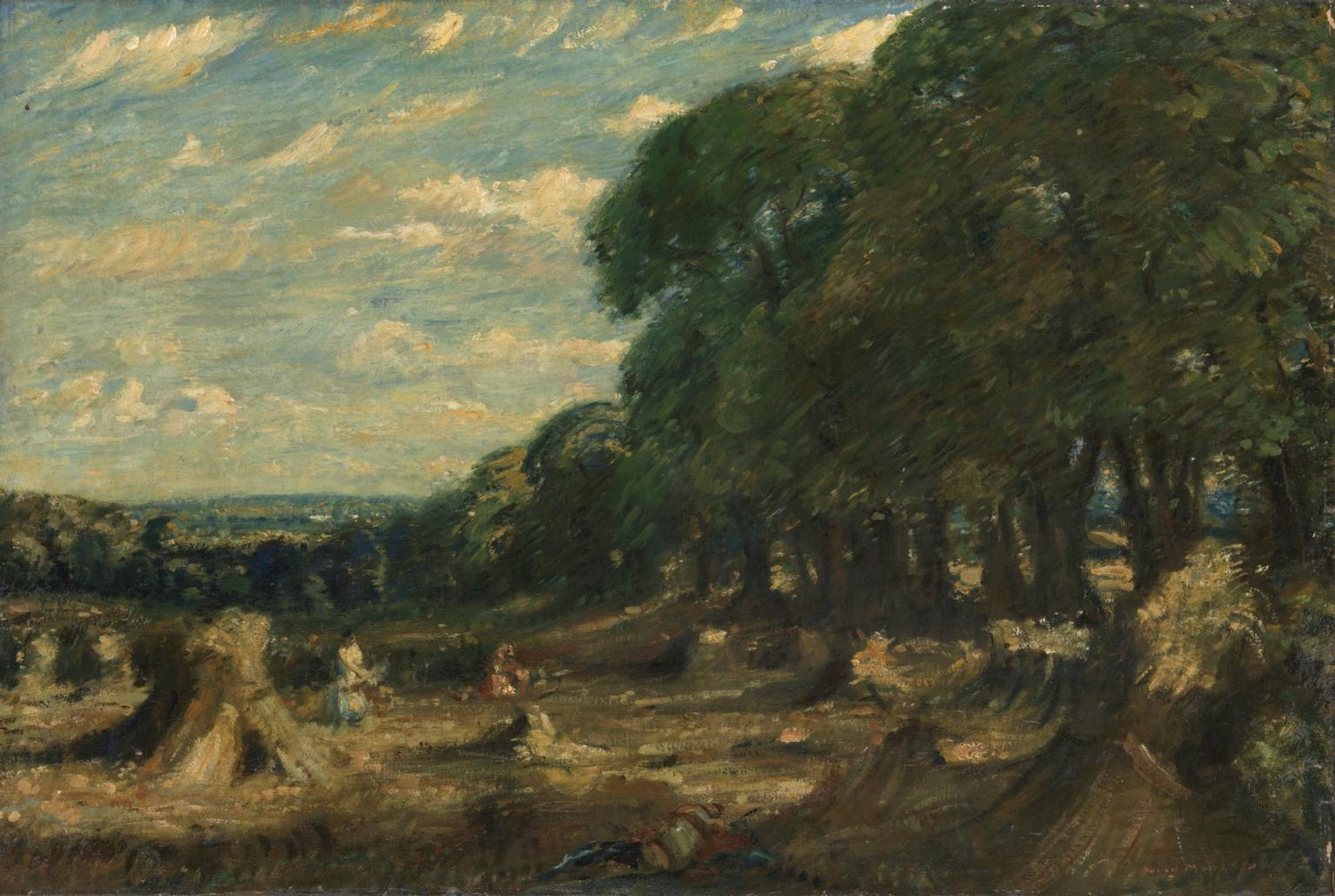 The Cornfield by  David Muirhead
