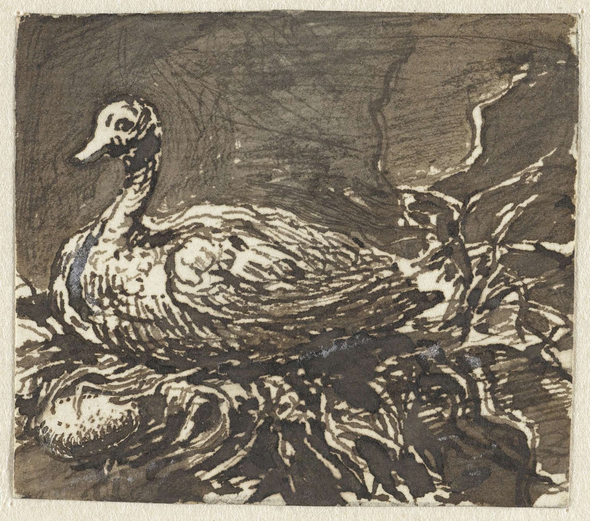 Broedende eend by Ernst Willem Jan Bagelaar