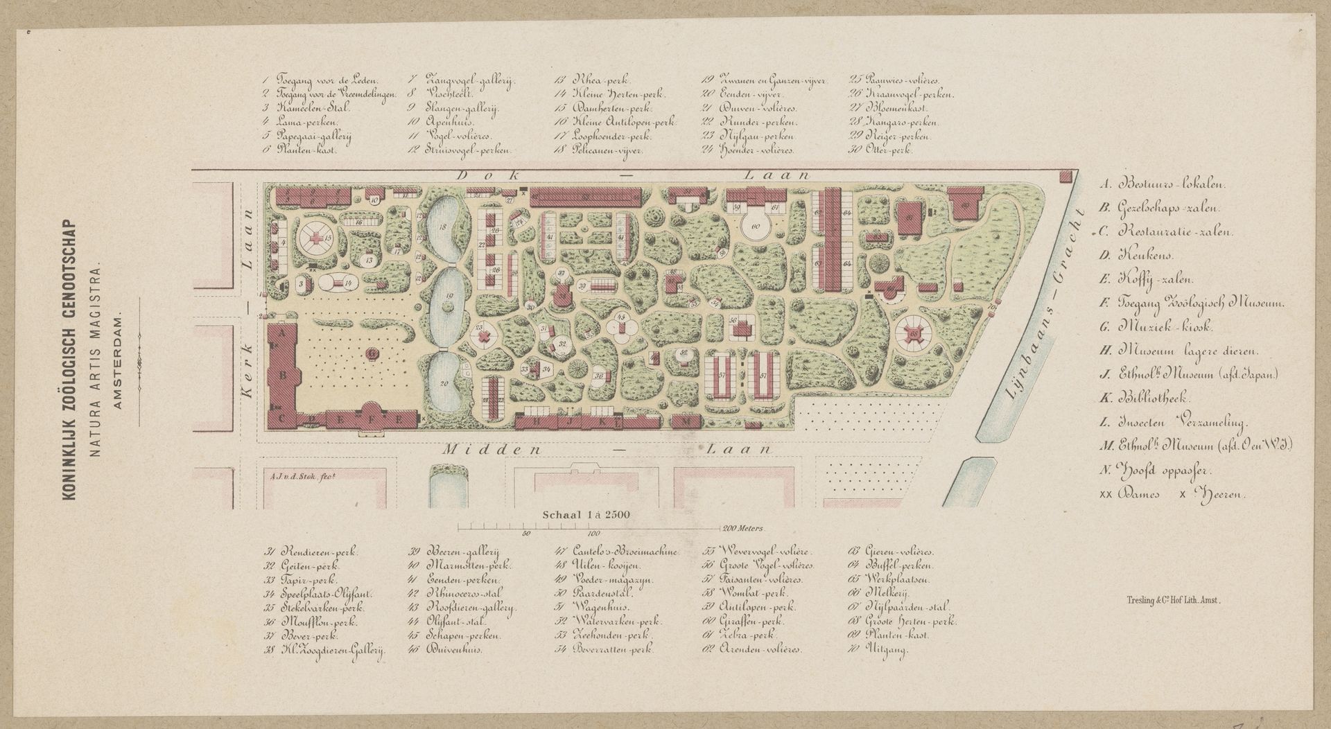 Plattegrond van dierentuin Artis in Amsterdam by Anonymous