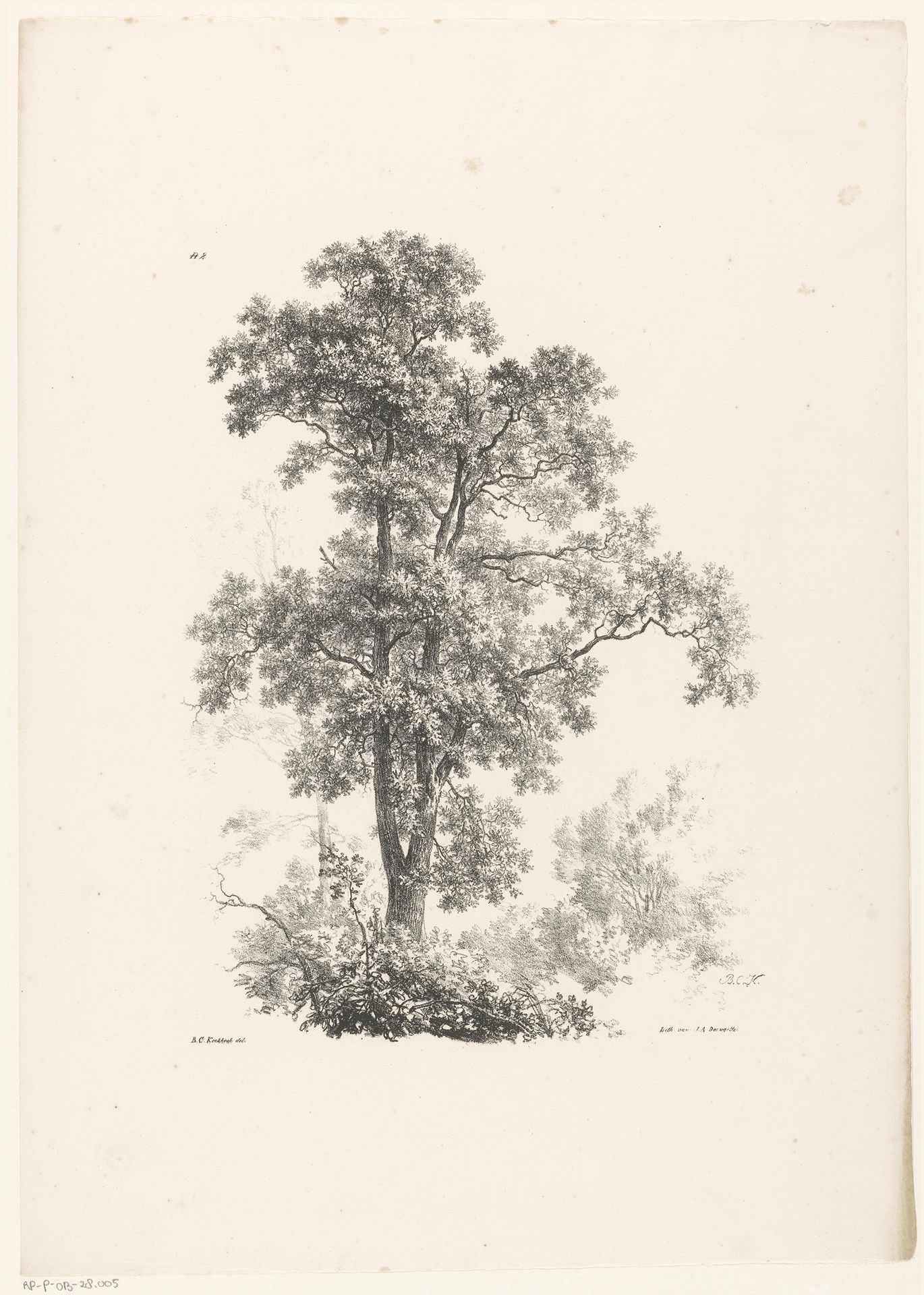 Bovenste gedeelte van een boom by Barend Cornelis Koekkoek