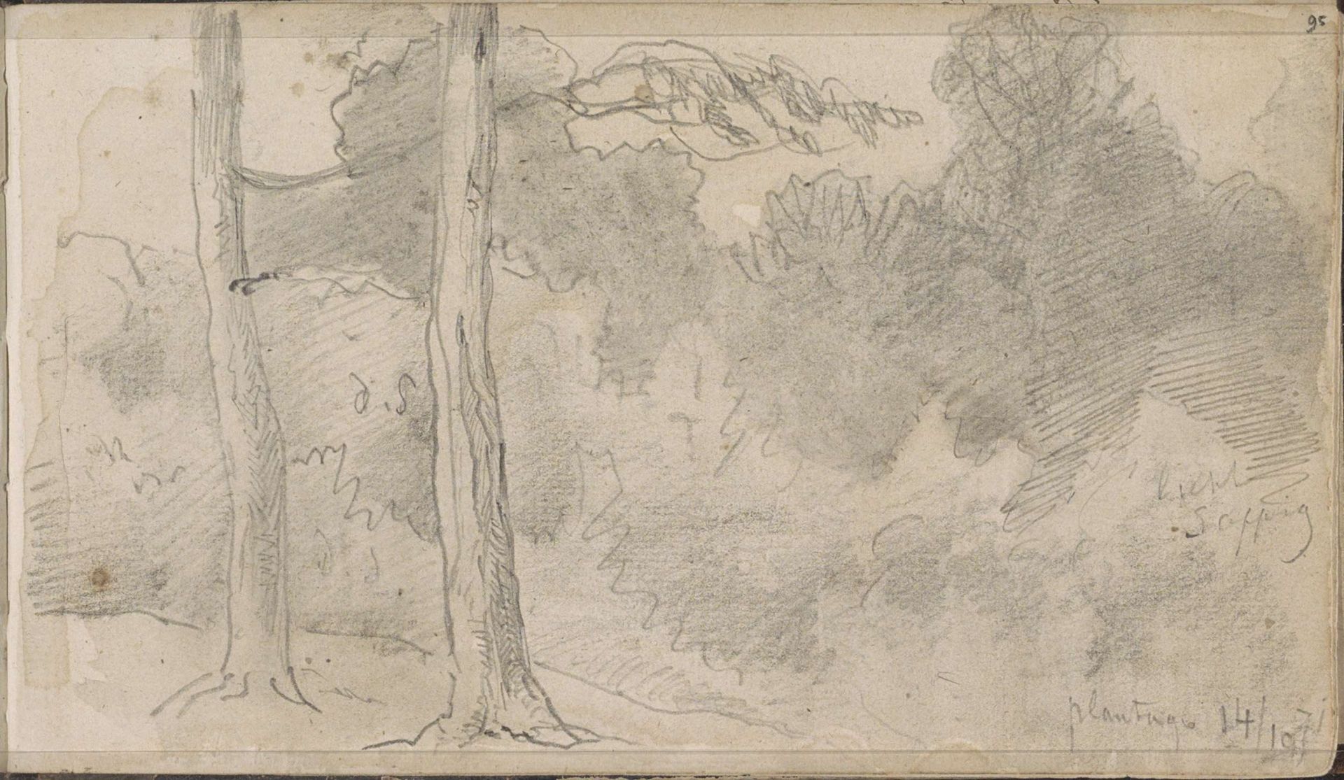 Bomen bij de Plantage by Johannes Tavenraat