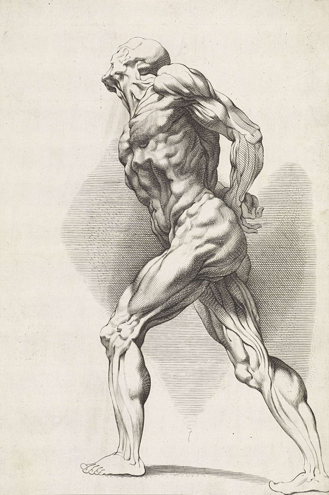 Anatomische studie van een staande man by Paulus Pontius