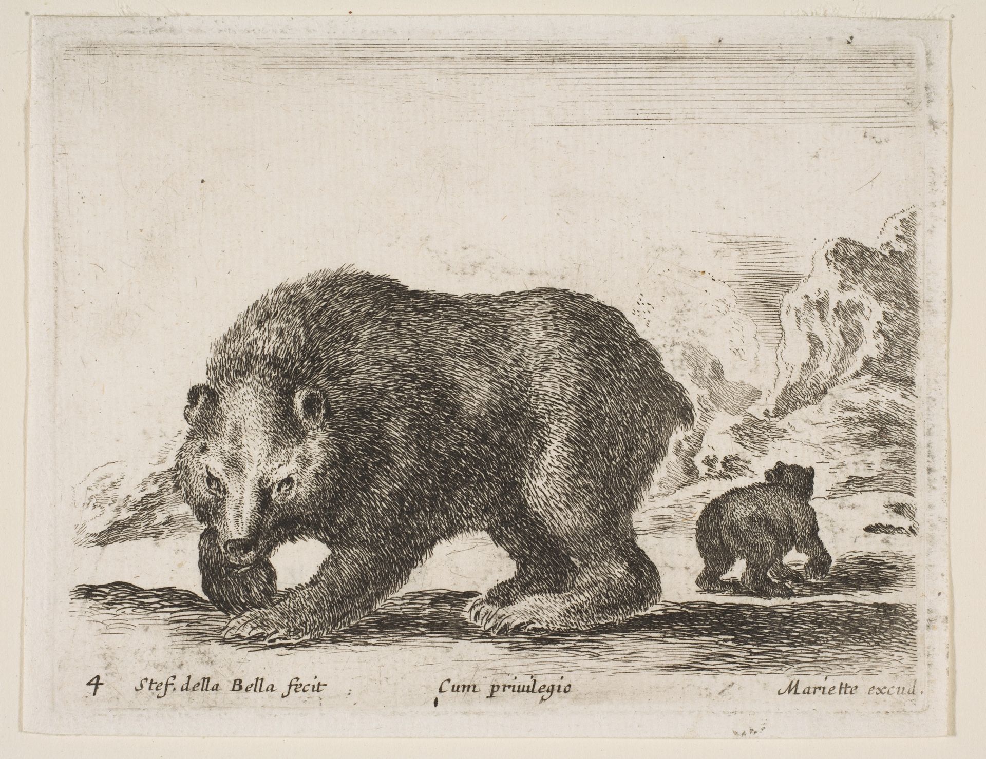 Plate 4: bear, from 'Various animals' (Diversi animali) by Stefano della Bella
