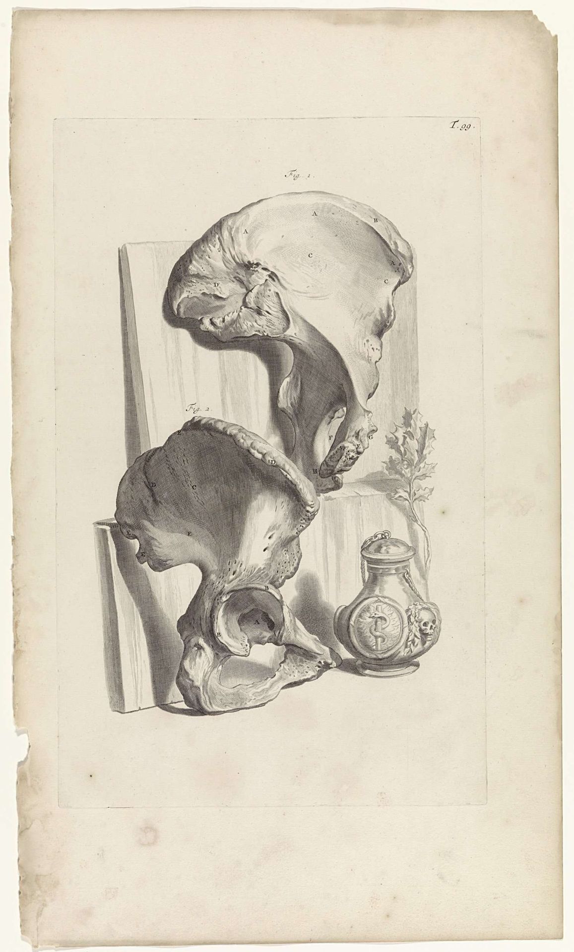 Anatomische studie van de heup by Pieter van Gunst