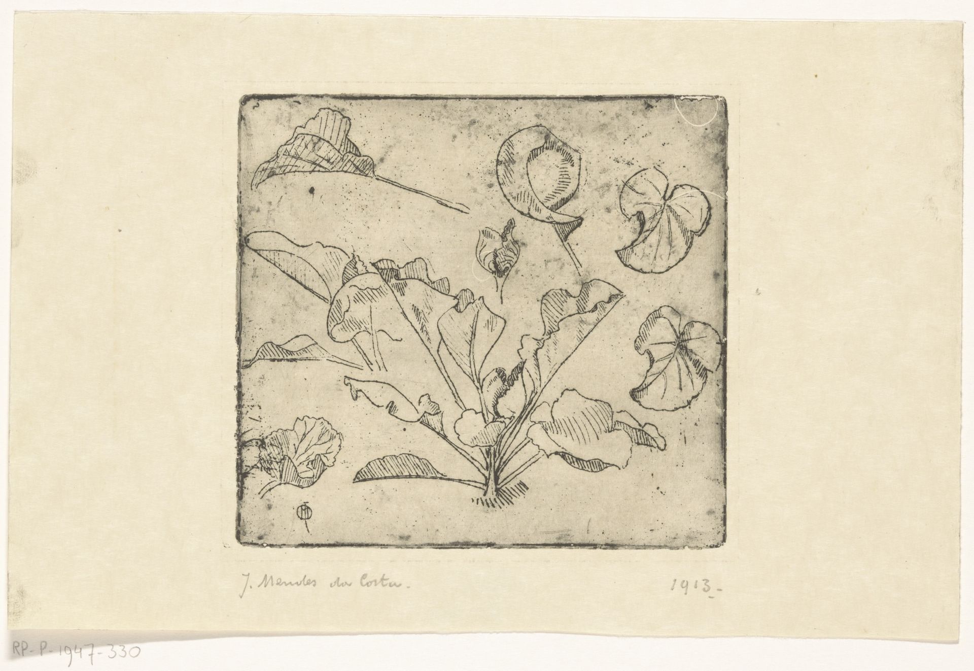 Studies van bladeren by Joseph (1863-1939) Mendes da Costa