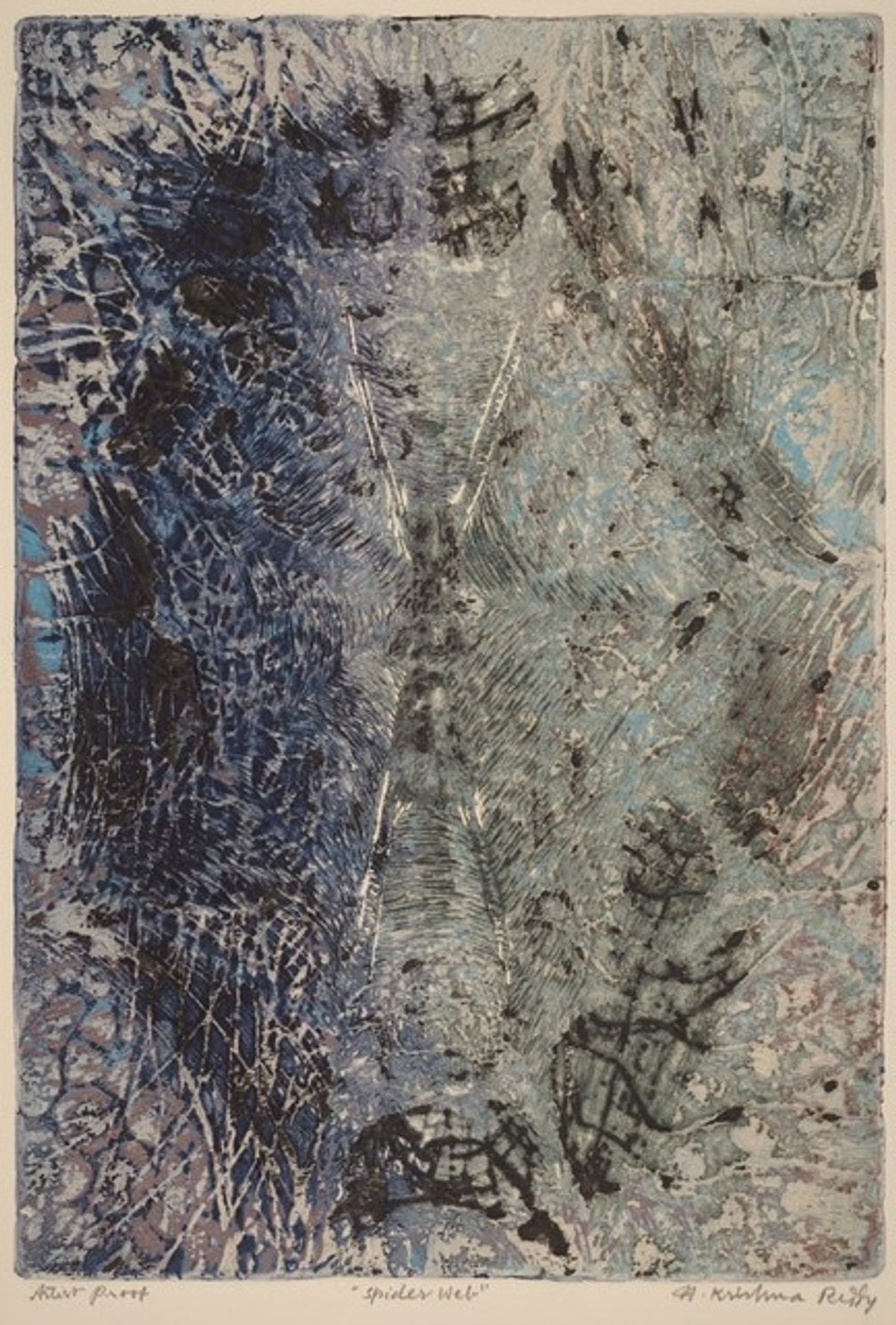 Spider Web by N. Krishna Reddy