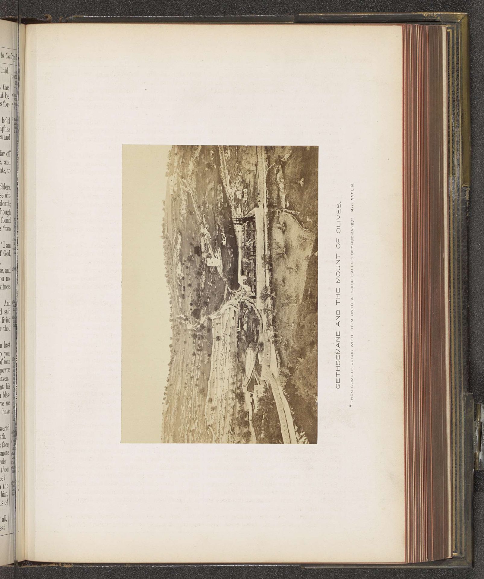Gezicht op de Olijfberg en het hof van Getsemane by Francis Frith