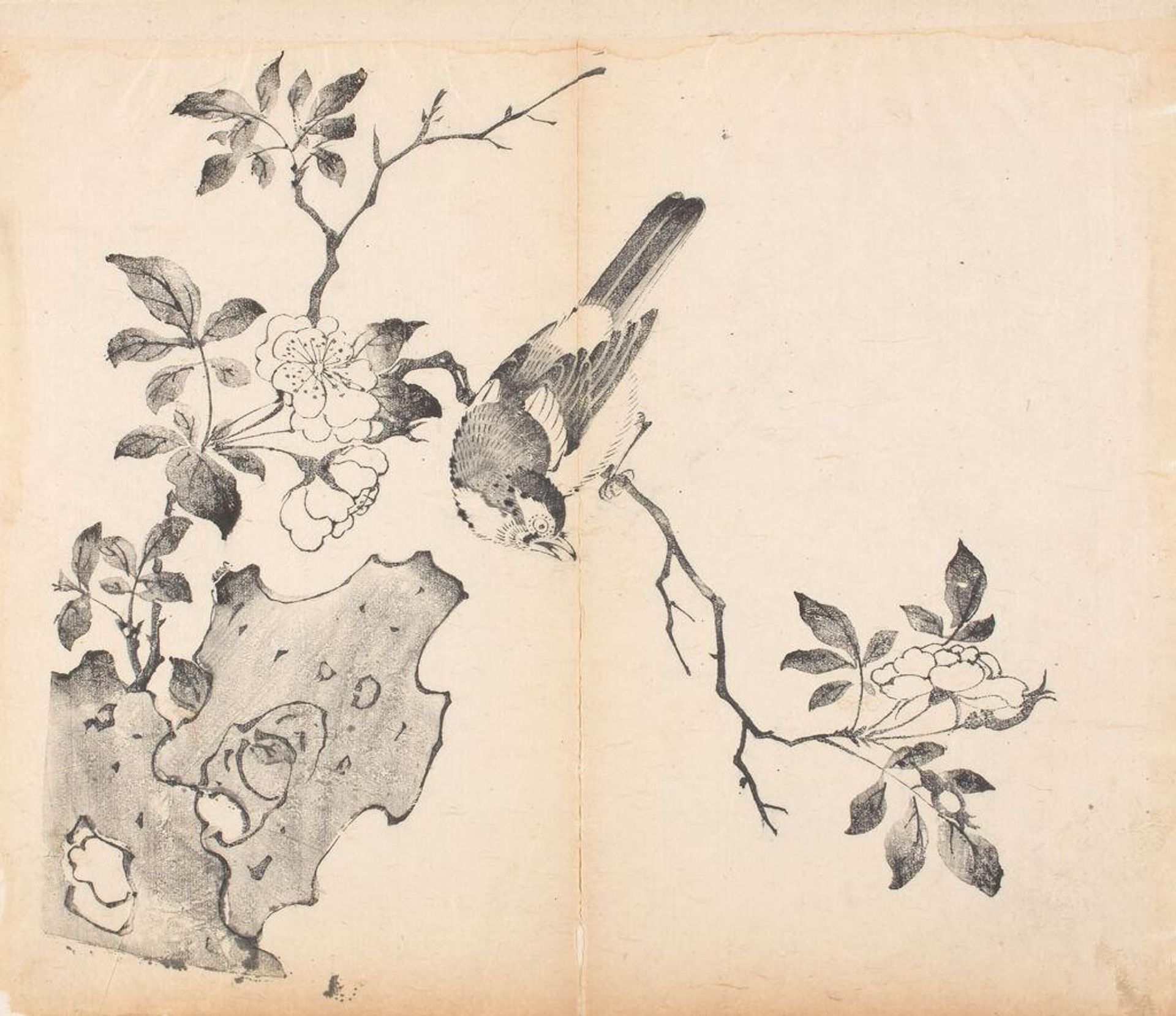 Bird on a Flowering Branch -- Illustration from the Ten Bamboo Studio Manual of Calligraphy and Painting (Shizhuzhai shuhua pu) by Hu Zhengyan