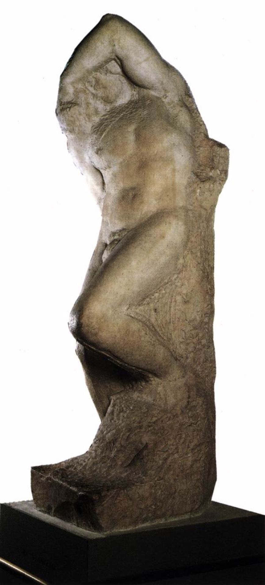Young Slave by Michelangelo