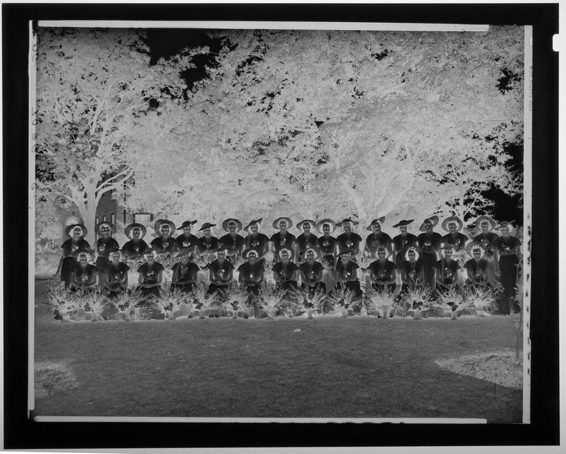 Untitled (two rows of women in matching dresses and hats, with flowers, outside) by Paul Gittings