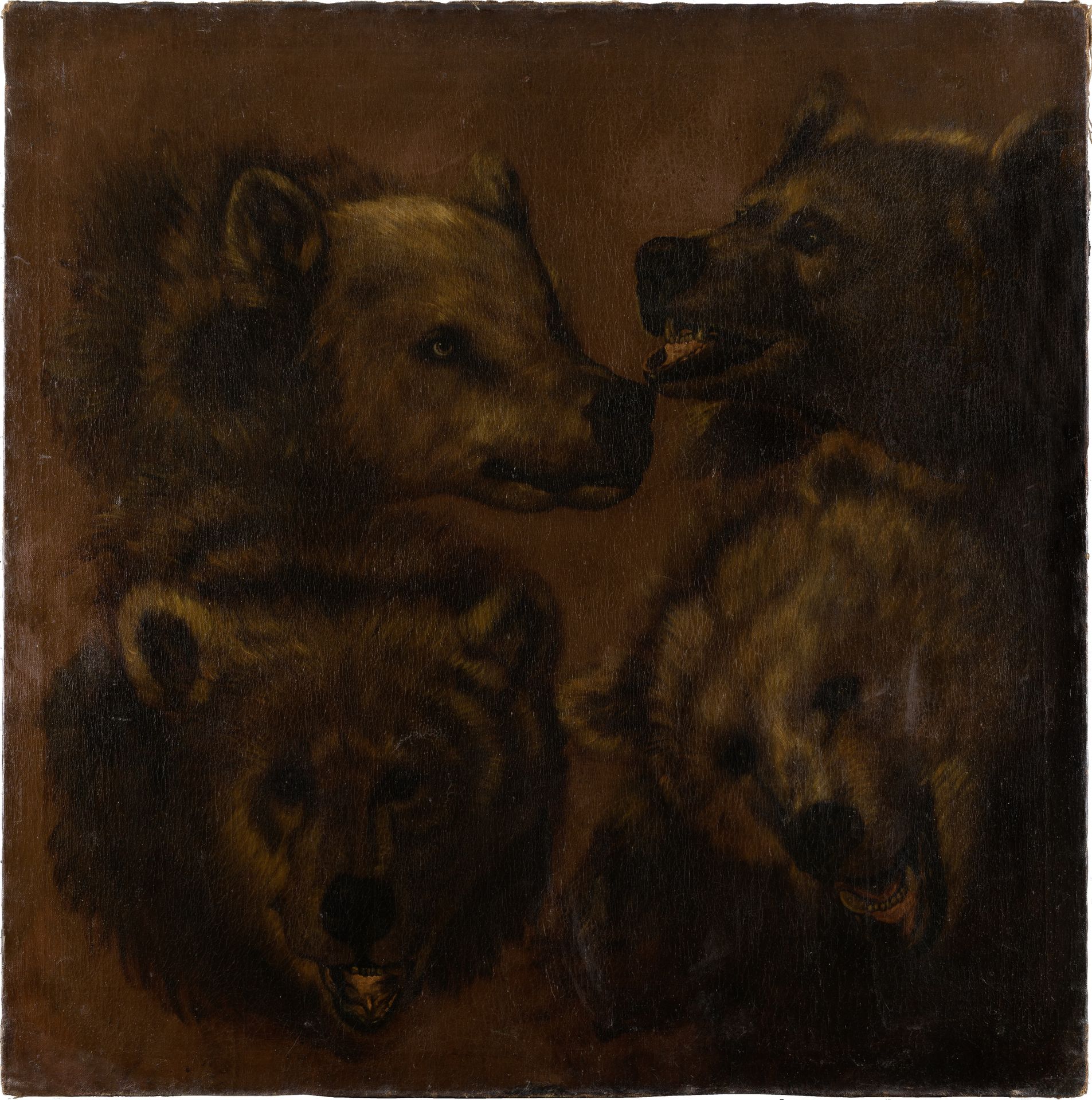 Four Lifesized Bear's Heads by Johann Melchior Roos