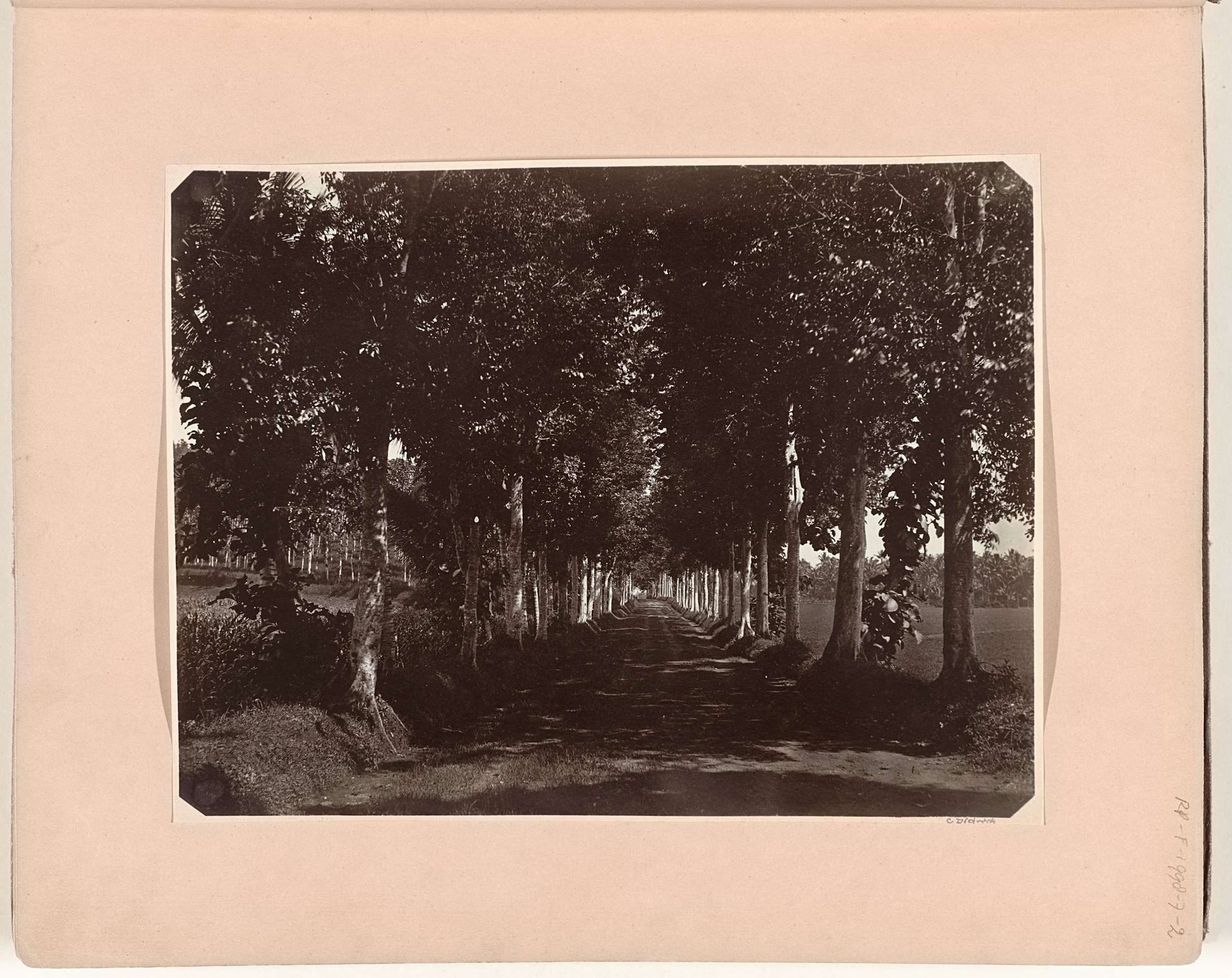 Laan naar Magelang, gezien vanuit de richting van de Borobudur by C. (fotograaf) Dietrich