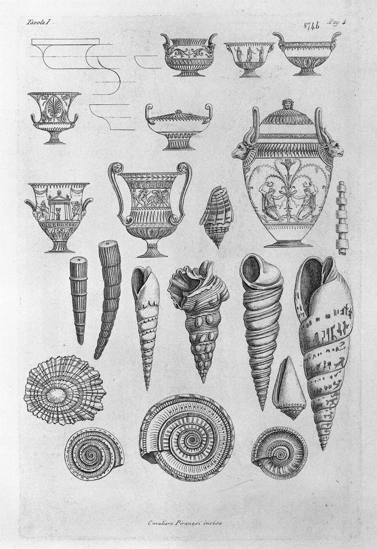 Other shells, and Greek vases etched outline by Giovanni Battista Piranesi