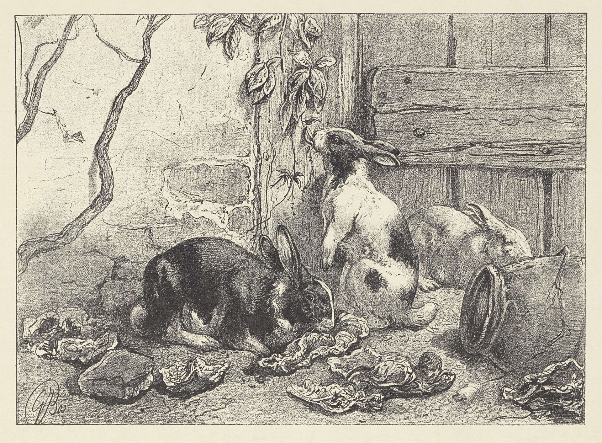 Drie konijnen op een erf by Gerard Jan Bos