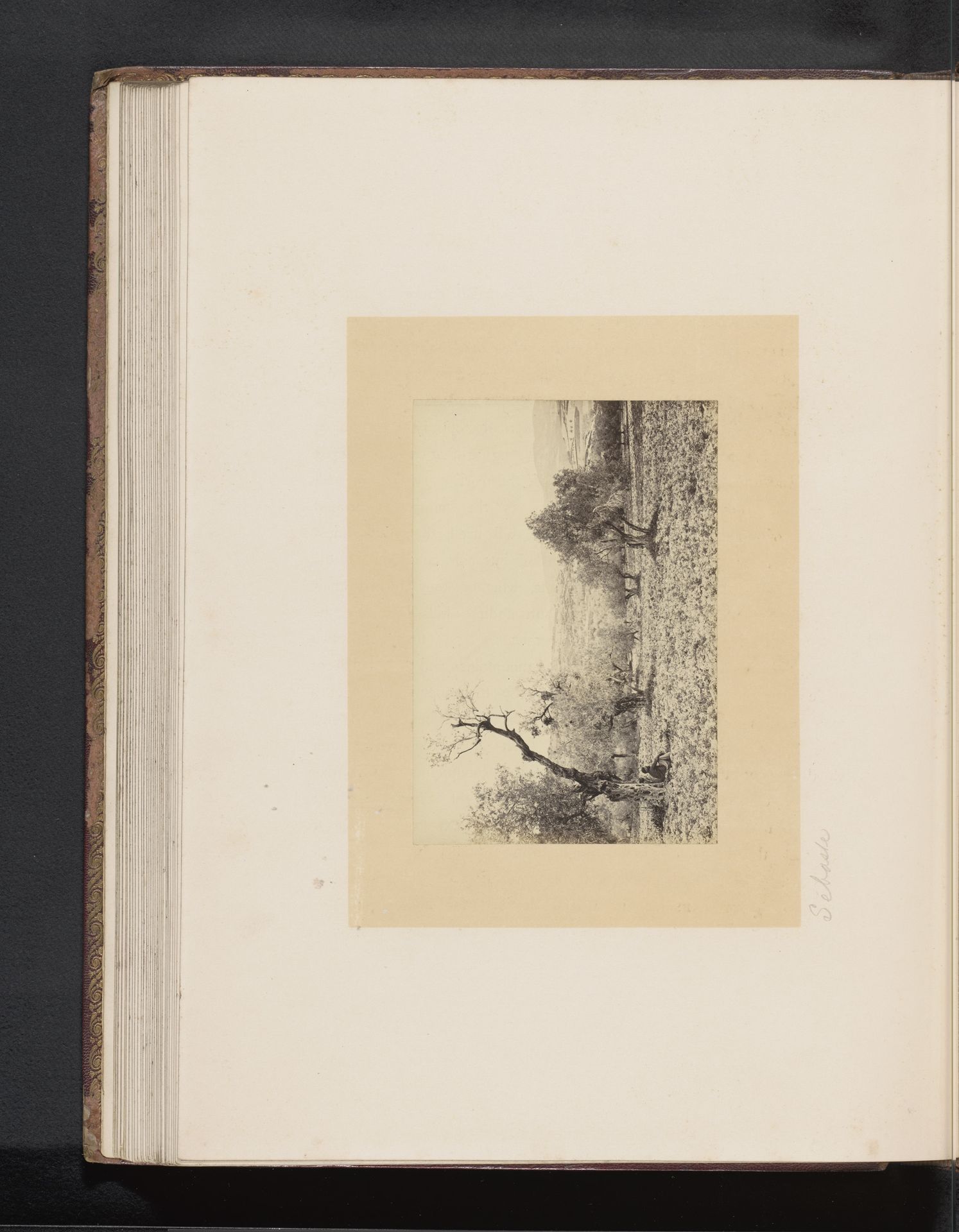 Gezicht op Samaria of Sebastia by Francis Frith