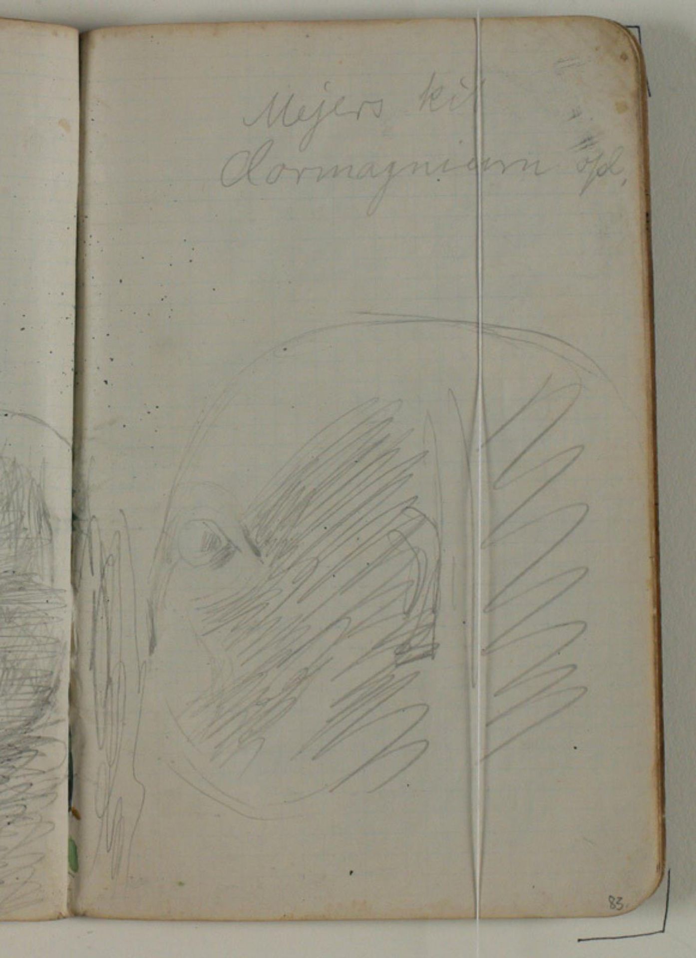 Studier af ægyptiske statuehoveder. Notat by Niels Larsen Stevns
