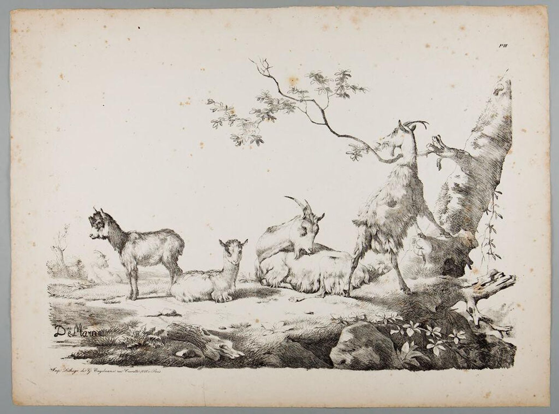 Two Goats and Two kids by Jean Louis de Marne