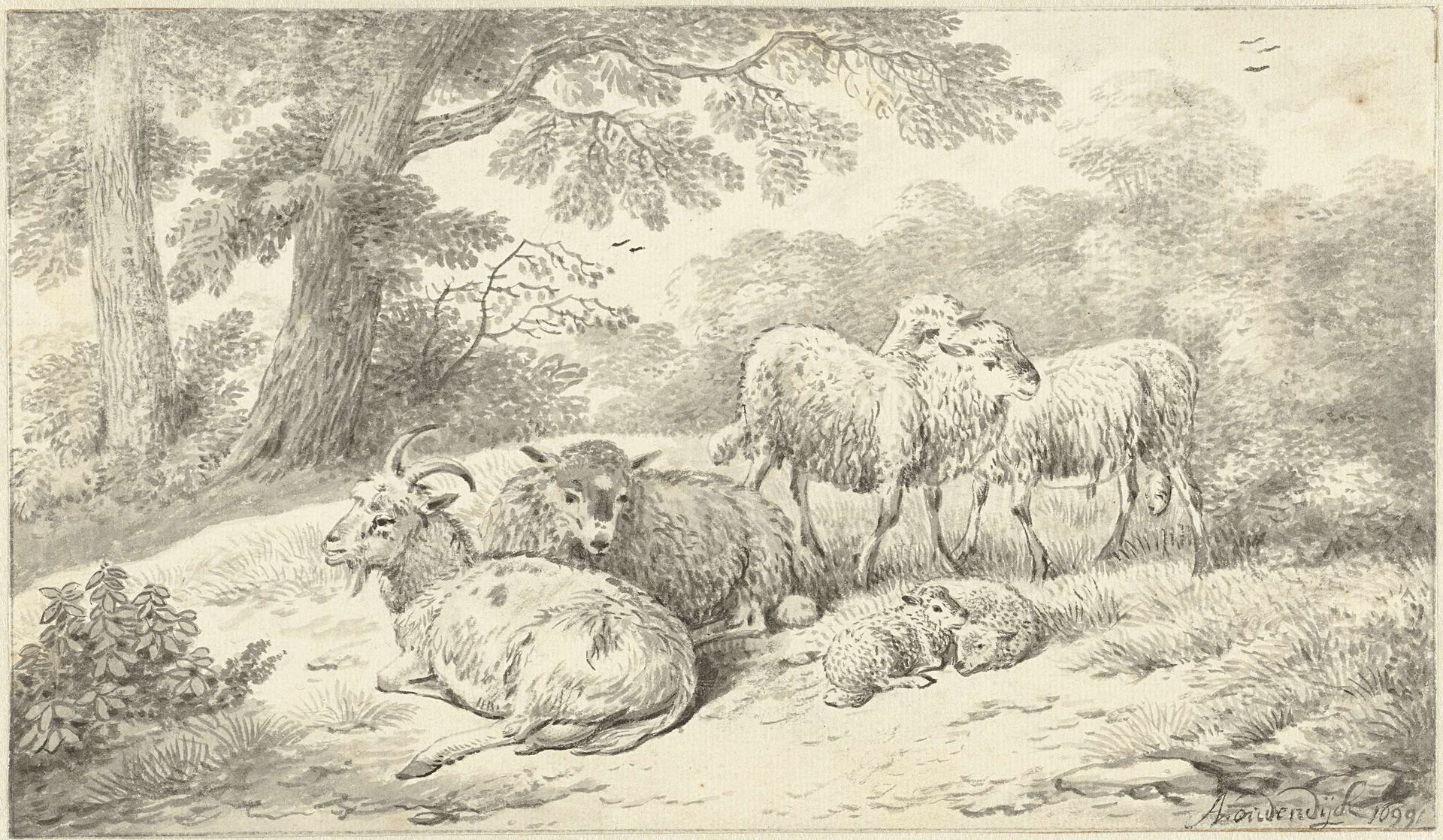 Drie schapen, twee lammeren en een geit in een bosachtig landschap by Adriaen Oudendijck